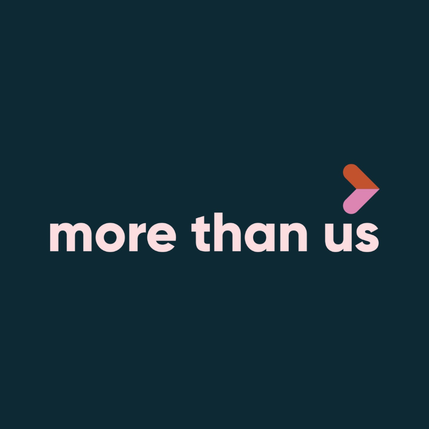 more-than-us2.png
