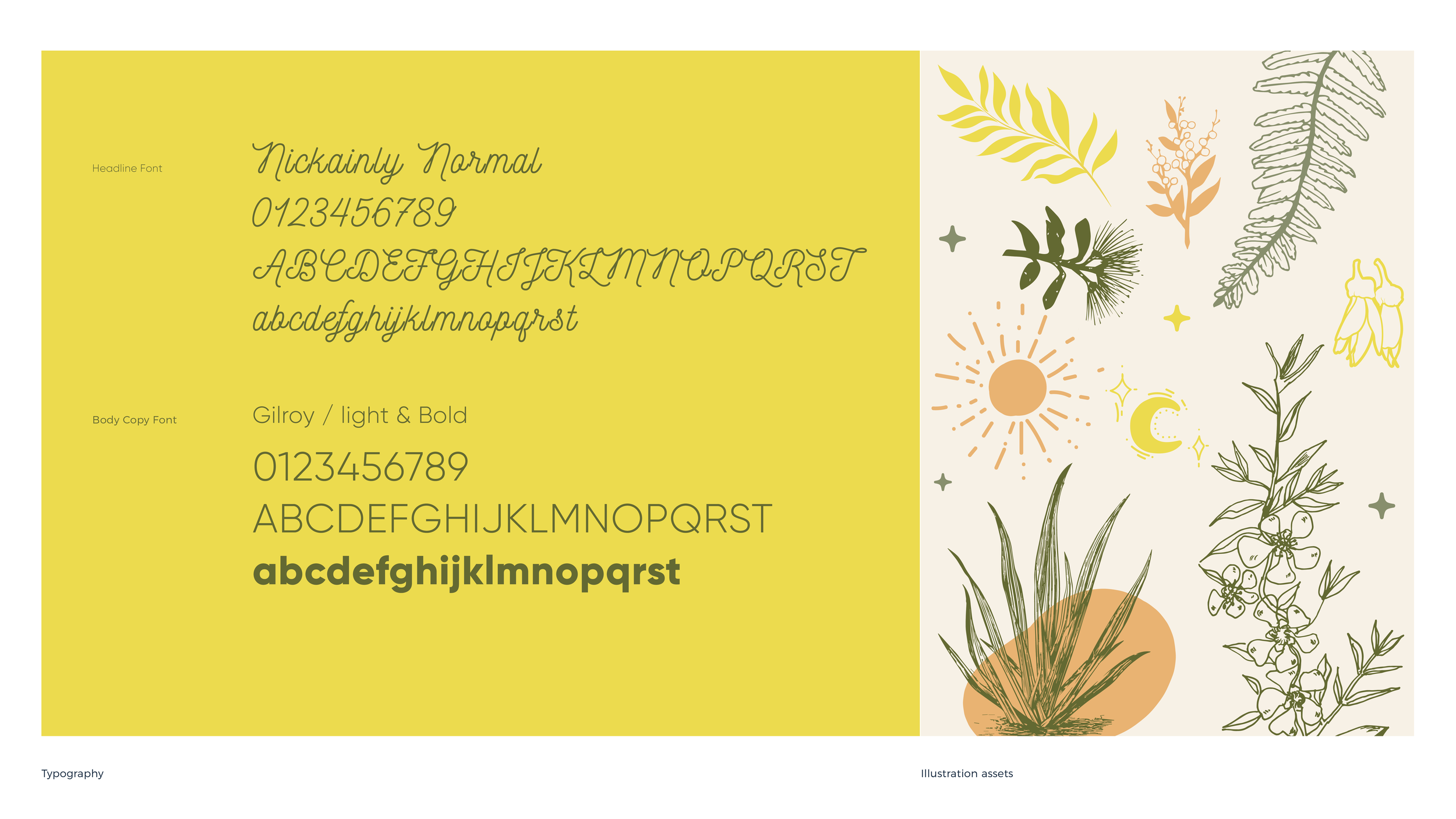 Alice Lilley Coaching_2-03.png