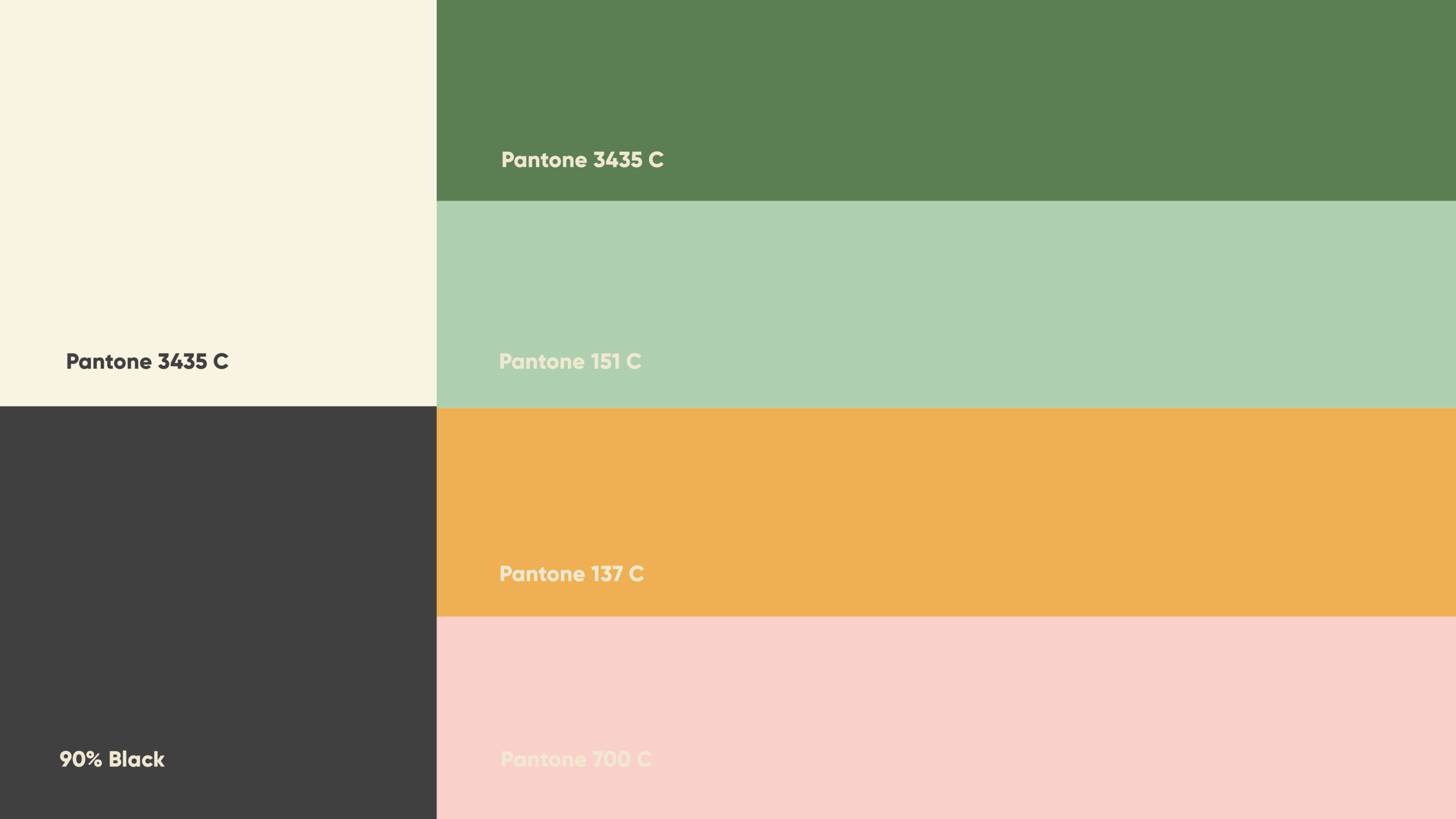 Portfolio-02.png