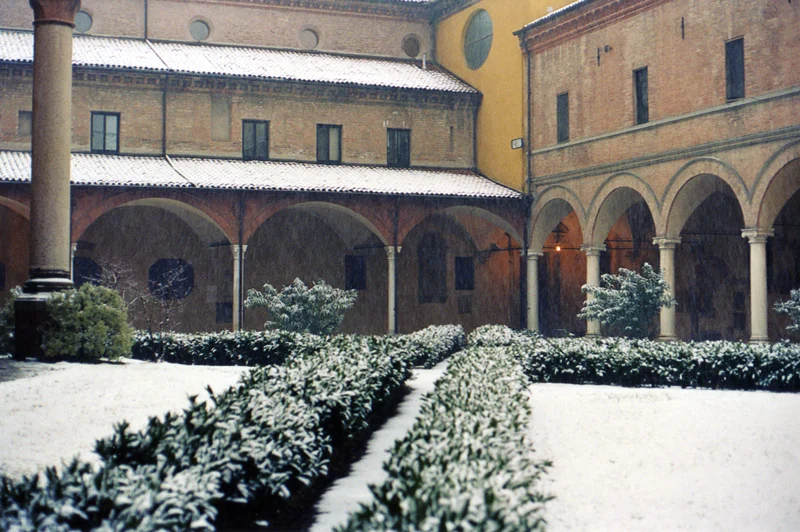 Man, it really is snowing.