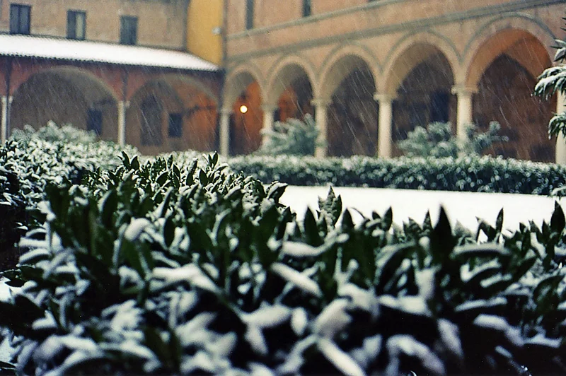 A depth of field picture in the cloister