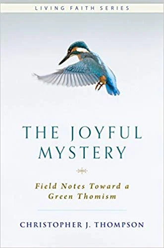 Joyful Mystery.jpg