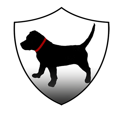 VCWatchdog web.png