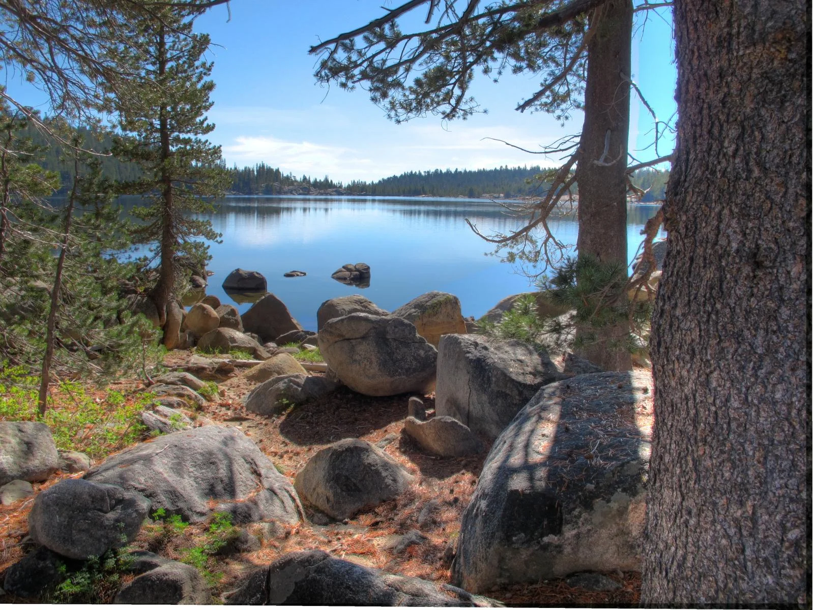 Lake_Alpine,_CA.jpg