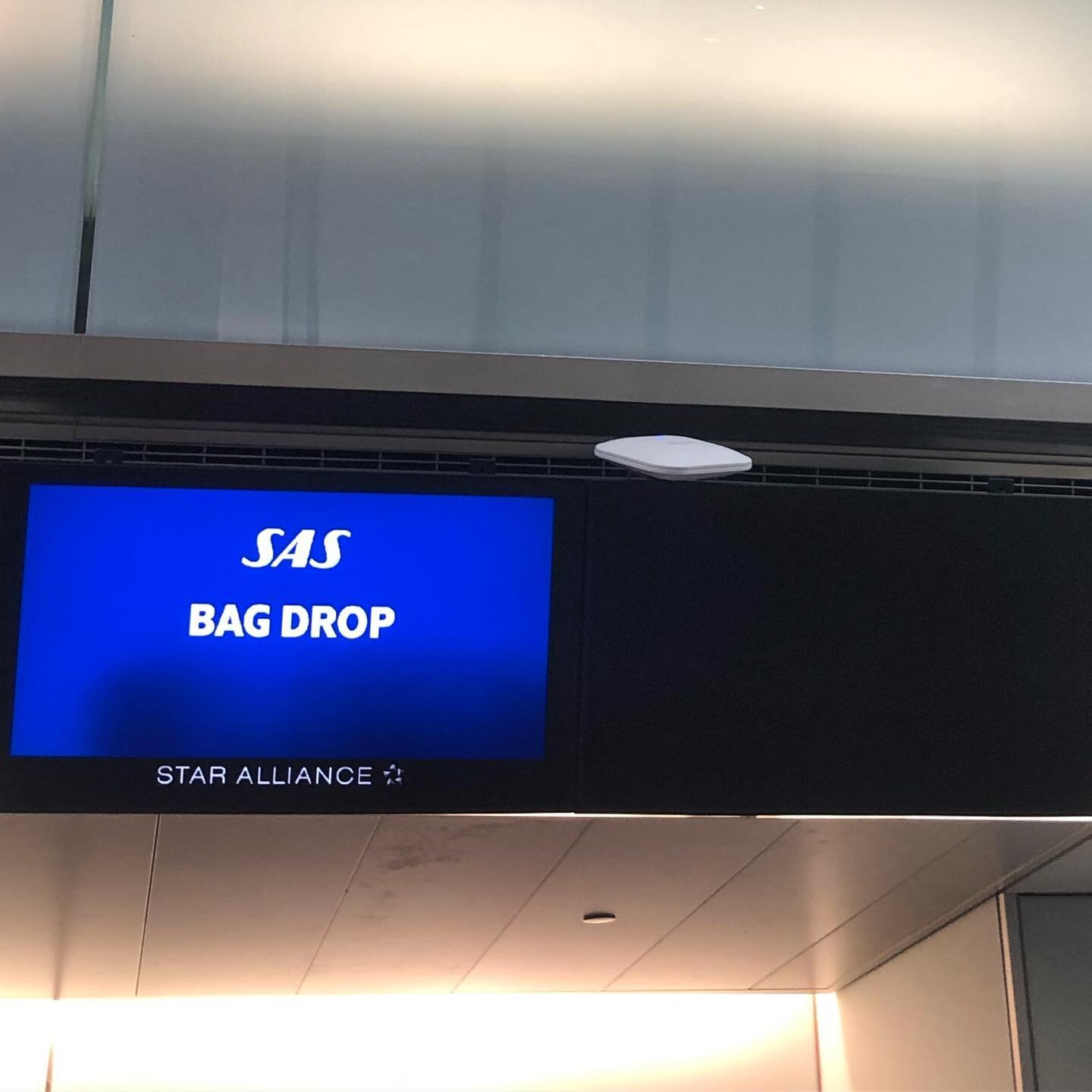 Draped across a display, hanging by a cord? Like a luxuriating lady in an Alma-Tadema painting. Thanks for the WAP show, EWR. #findthewap