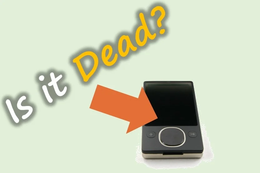 The Zune software bug -- What's a leap year?