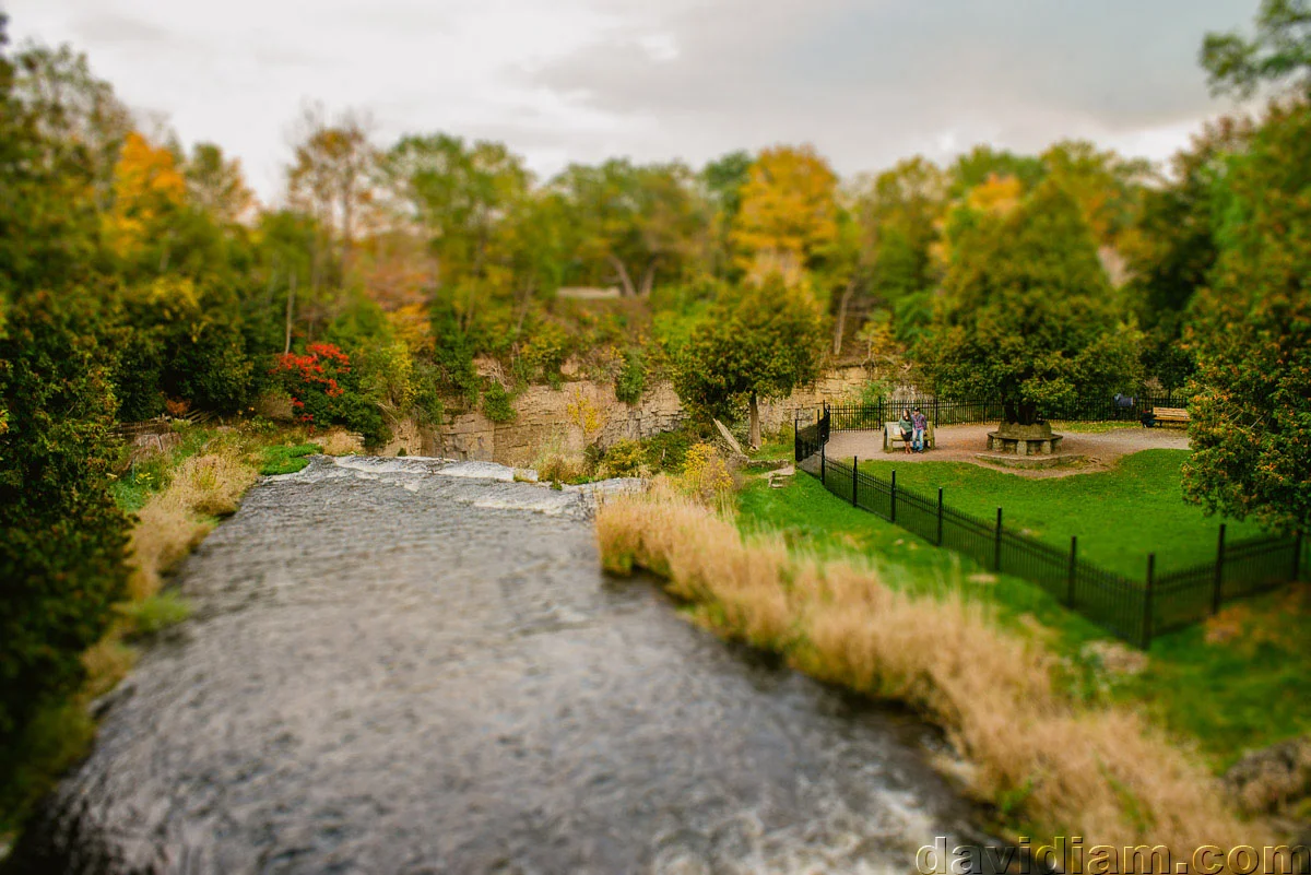 Webster-Falls-Photographer-Dundas-Wedding-007.jpg