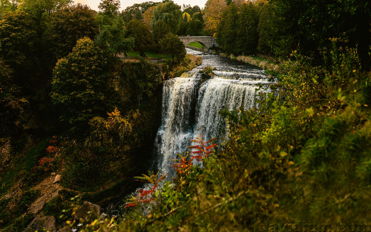 Webster-Falls-Photographer-Dundas-Wedding-018.jpg