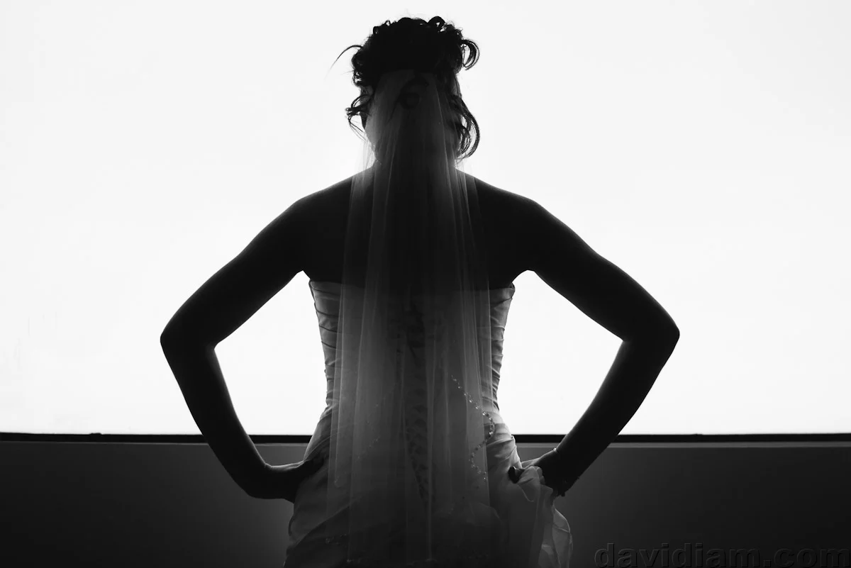 Burlington-Wedding-Photographer-Carmens-Hamilton-Photography-010.jpg