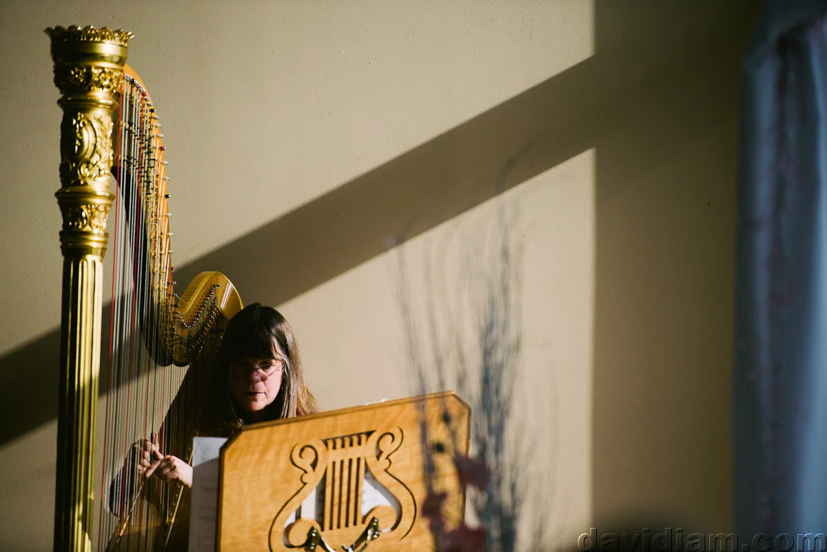 Burlington-Wedding-Photographer-Carmens-Hamilton-Photography-016.jpg