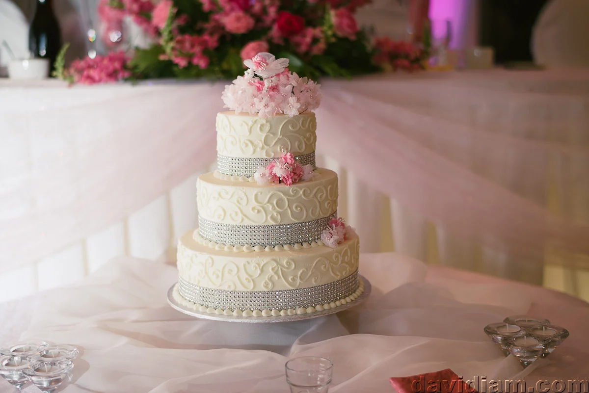 Burlington-Wedding-Photographer-Carmens-Hamilton-Photography-047.jpg