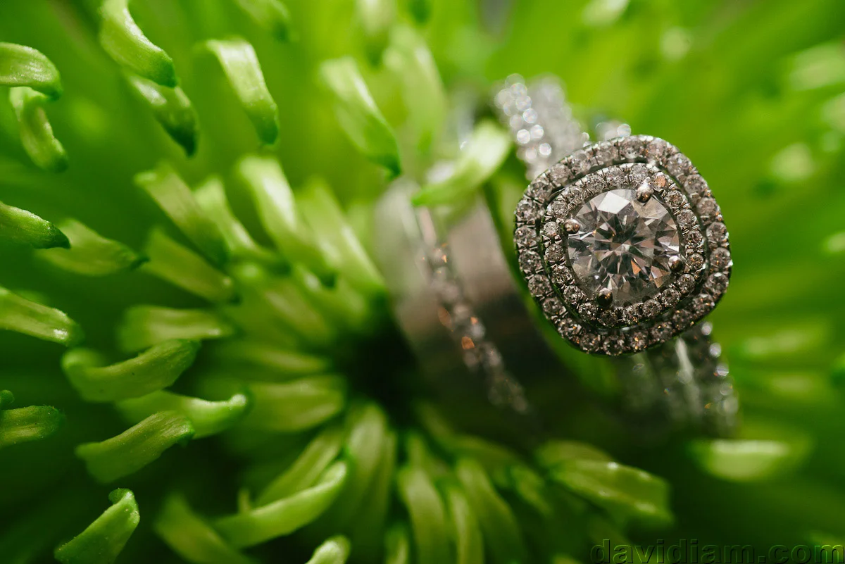 Kitchener-Wedding-Photography-Golfs-Steakhouse-046.jpg