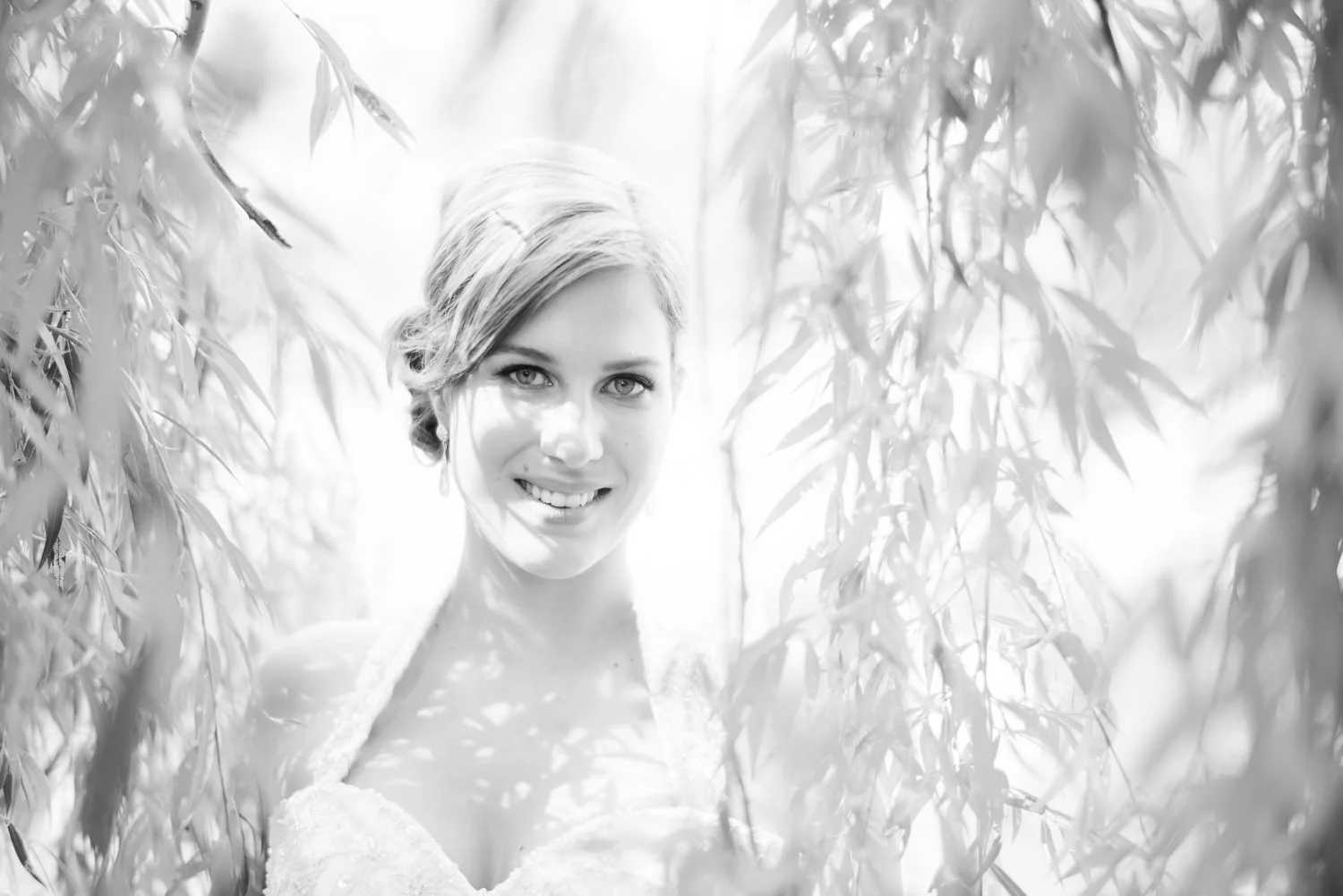 Website Gallery-083.jpg