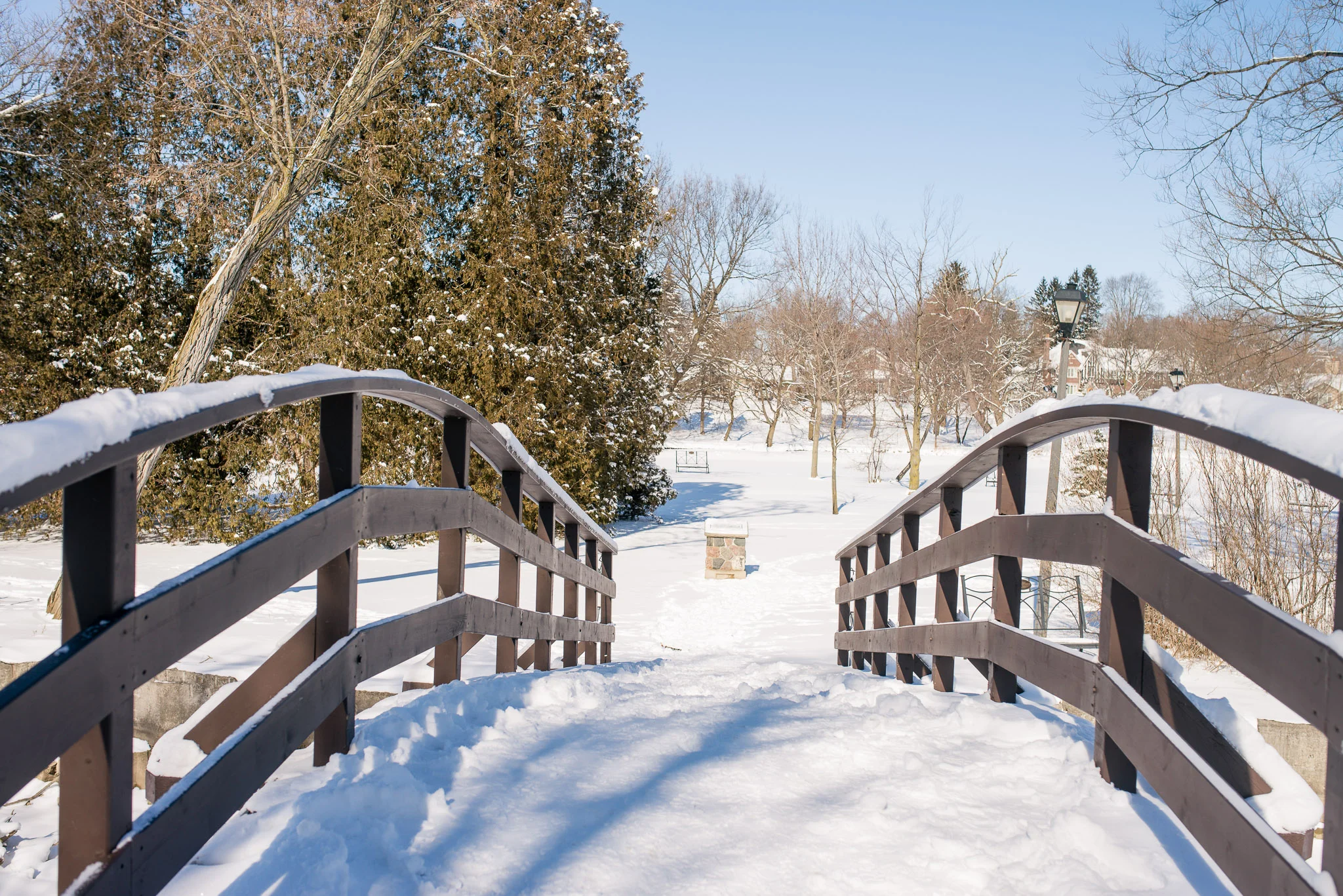 Low-Res-Surpise-Proposal-Tom-Patterson-Bridge-davidiam-001-54.jpg