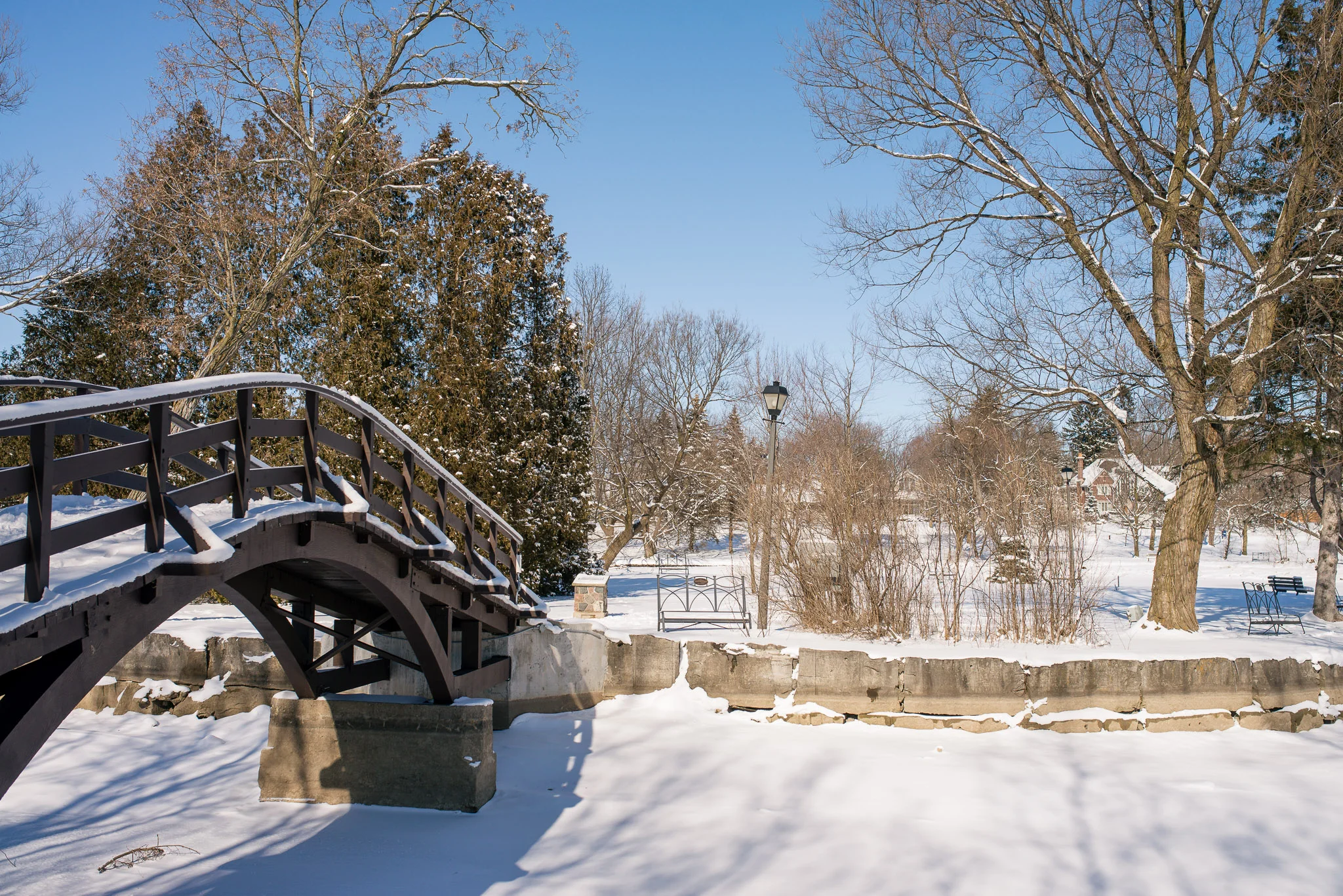 Low-Res-Surpise-Proposal-Tom-Patterson-Bridge-davidiam-001-53.jpg