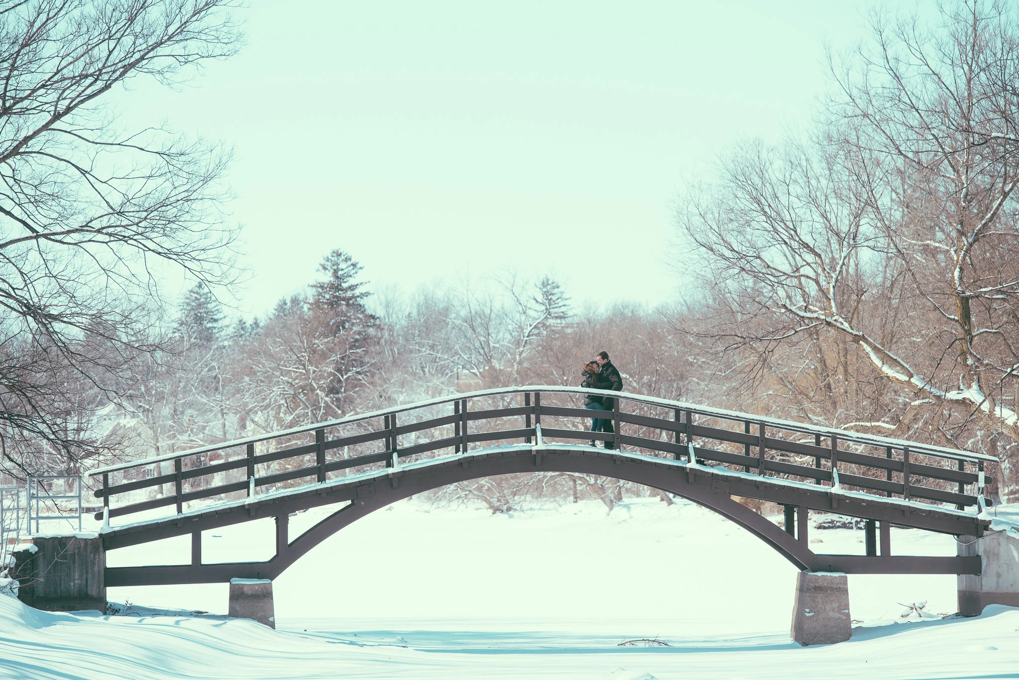 Low-Res-Surpise-Proposal-Tom-Patterson-Bridge-davidiam-001-37.jpg