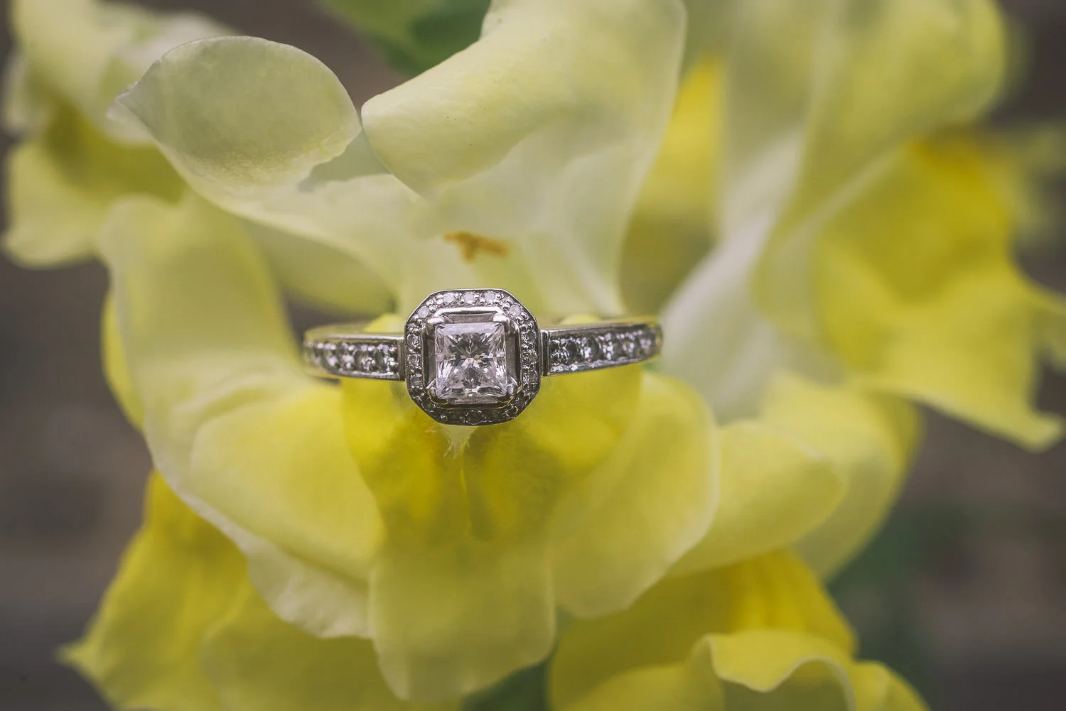Sarah-Kurt-Engagement-Photos-027.jpg