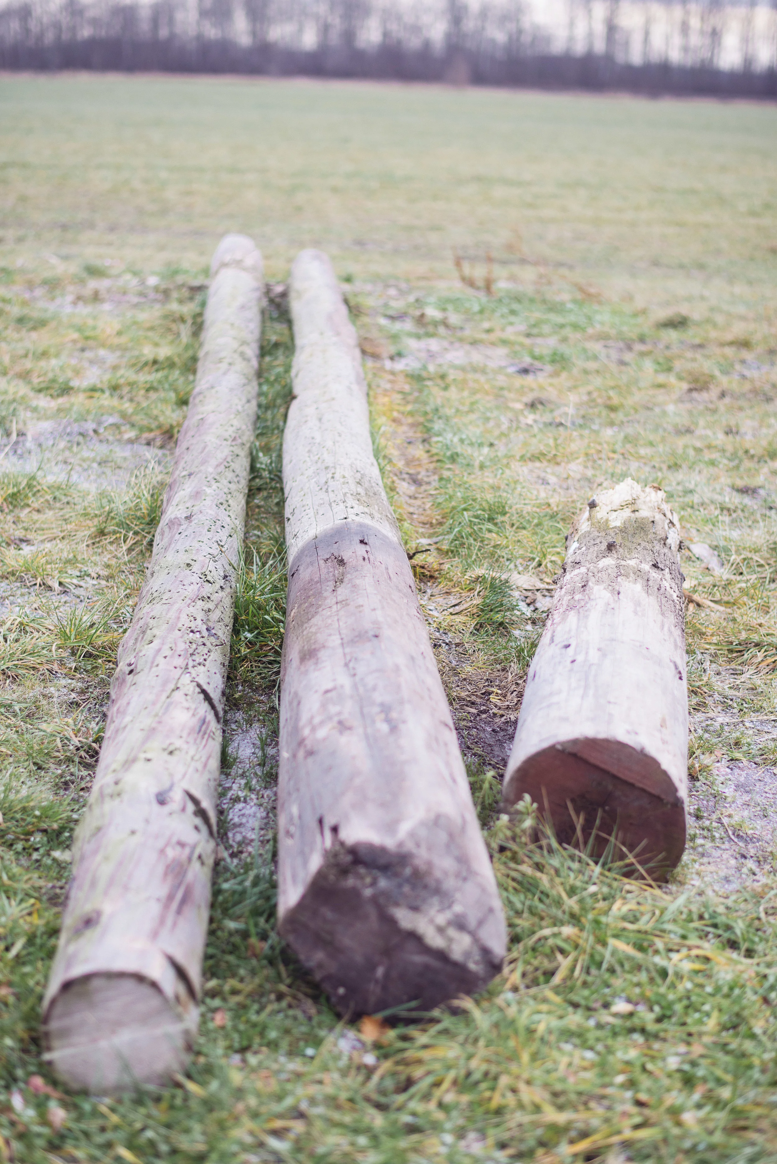 Sawmill1-048.jpg