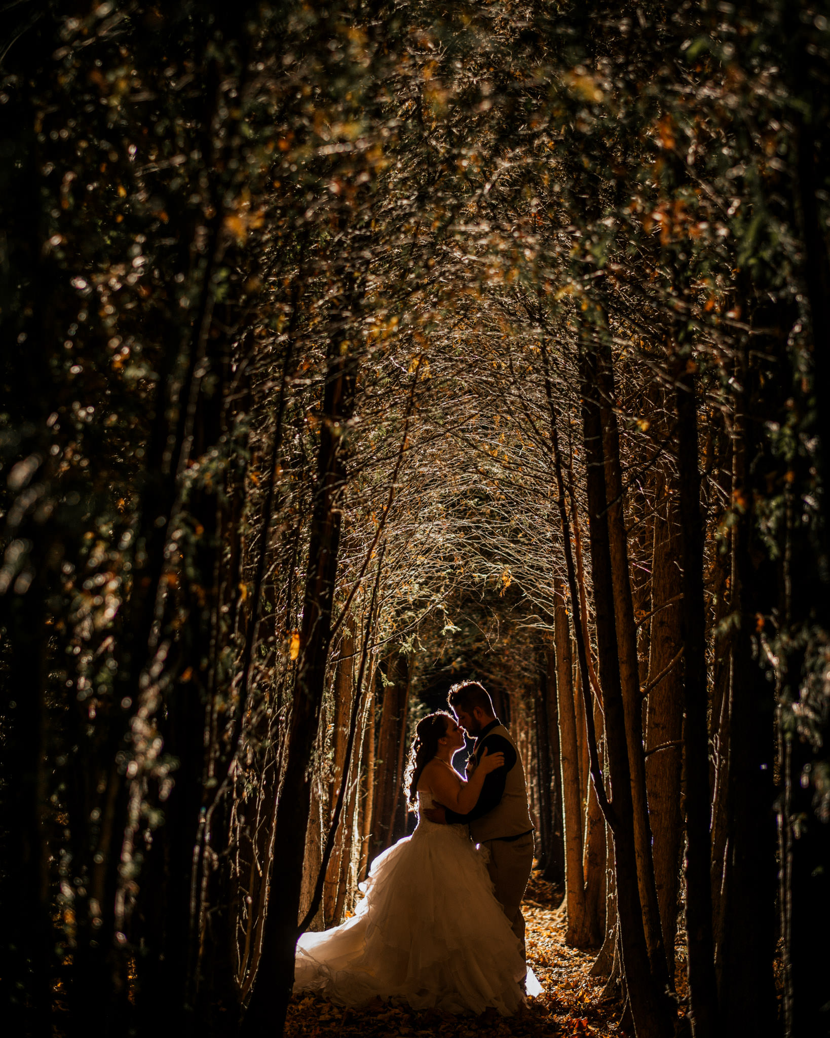 tree-tunnel-night-portrait-001.jpg