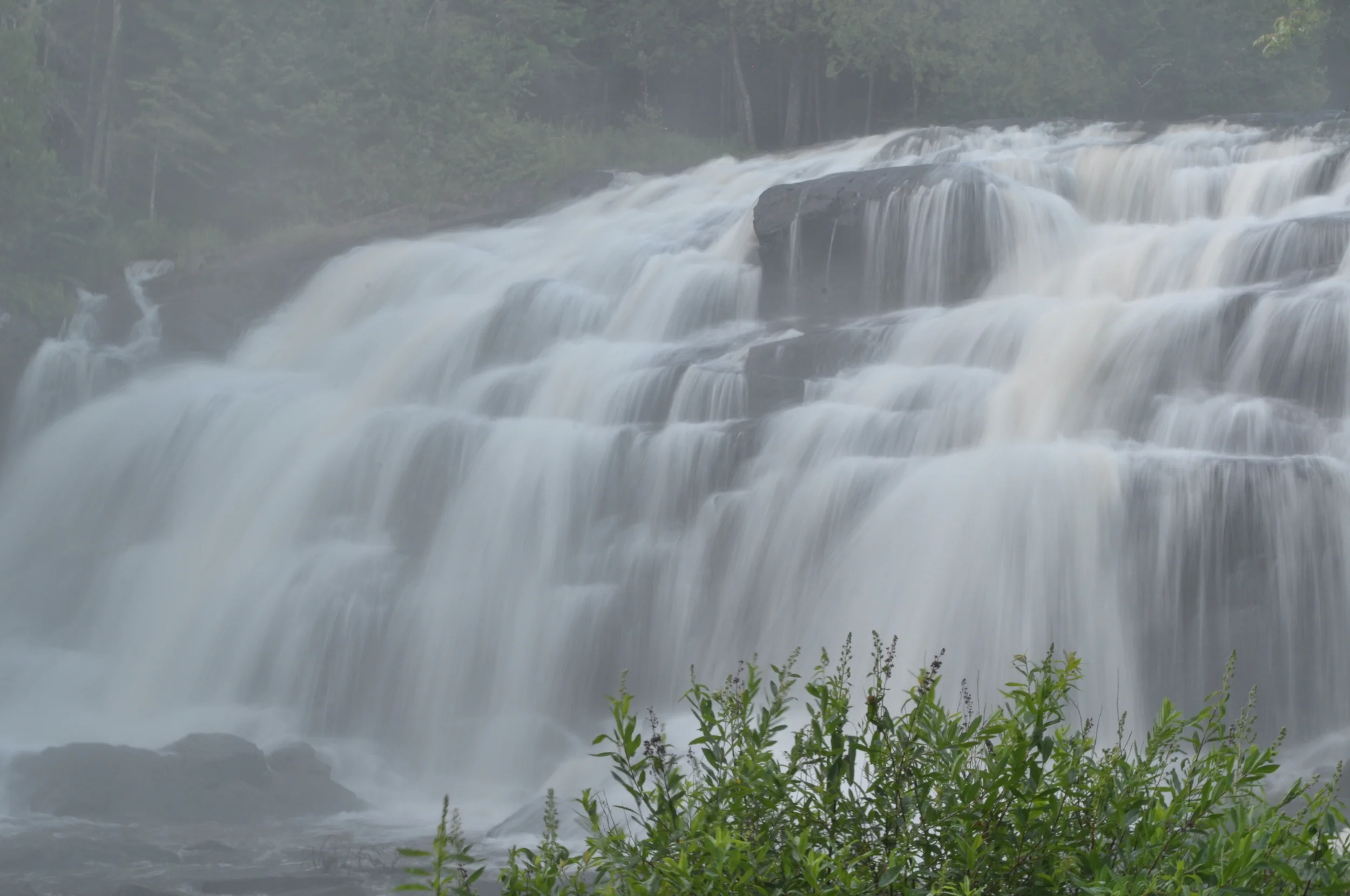 DSC_0607b - Copy.JPG