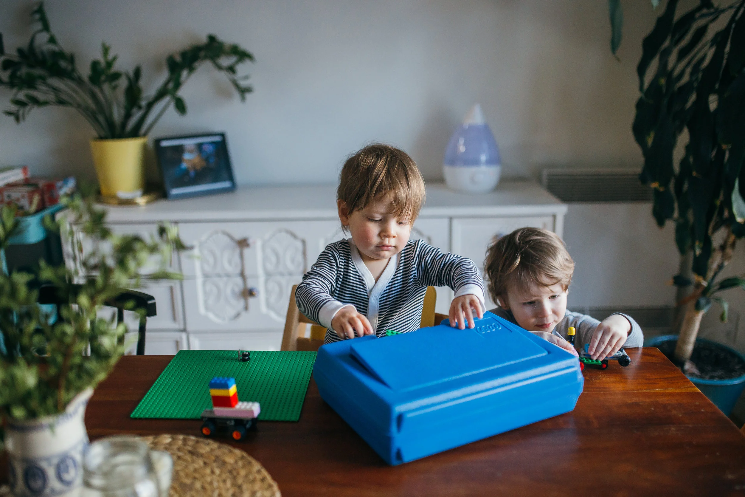 SIBLINGS WITHOUT RIVALRY