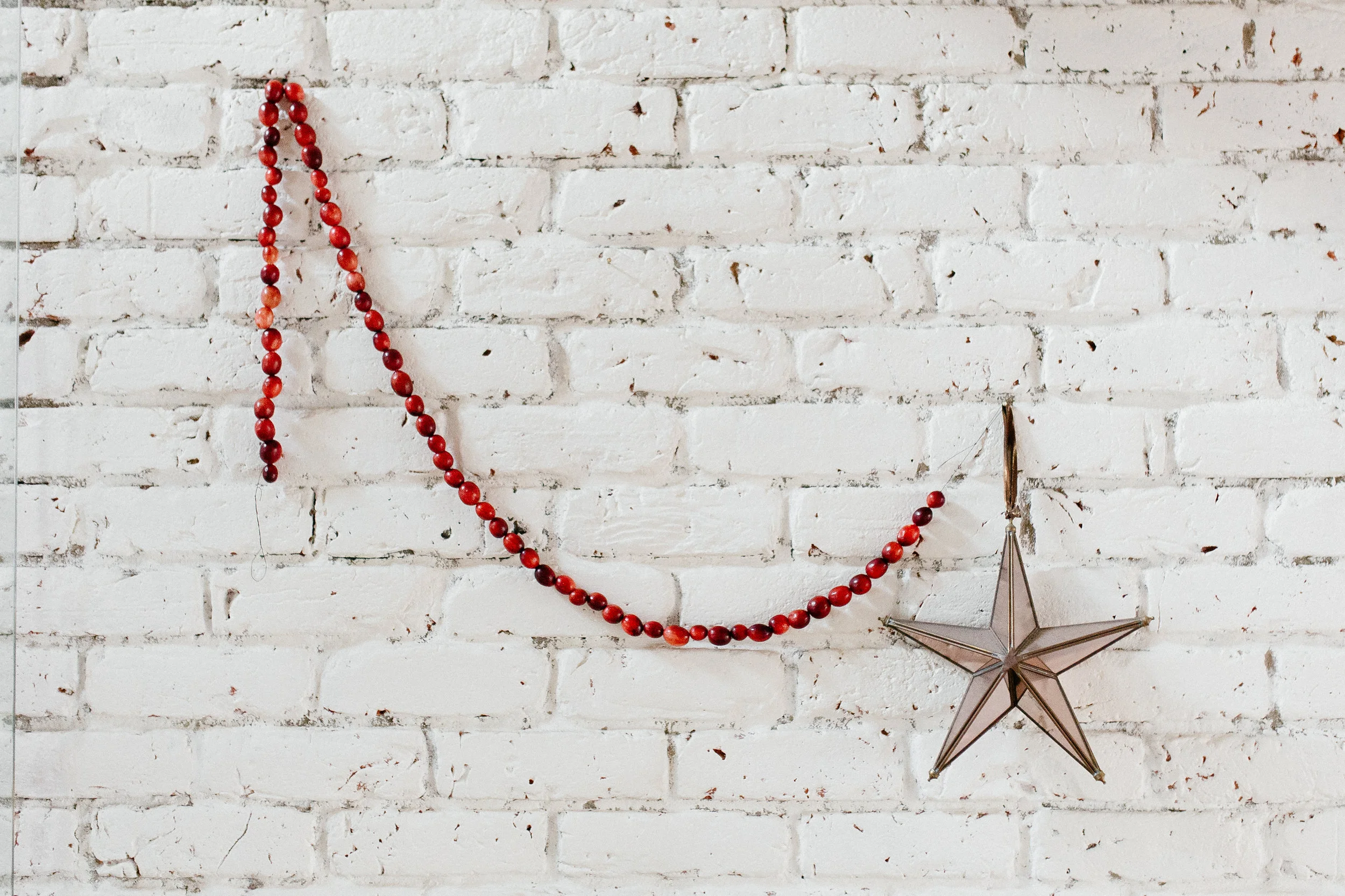 GUIRLANDE FESTIVE EN CANNEBERGES DIY #douxnoel