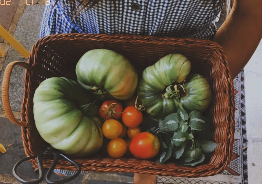 LES TRÉSORS D’AOÛT #JOURNALDUPOTAGER