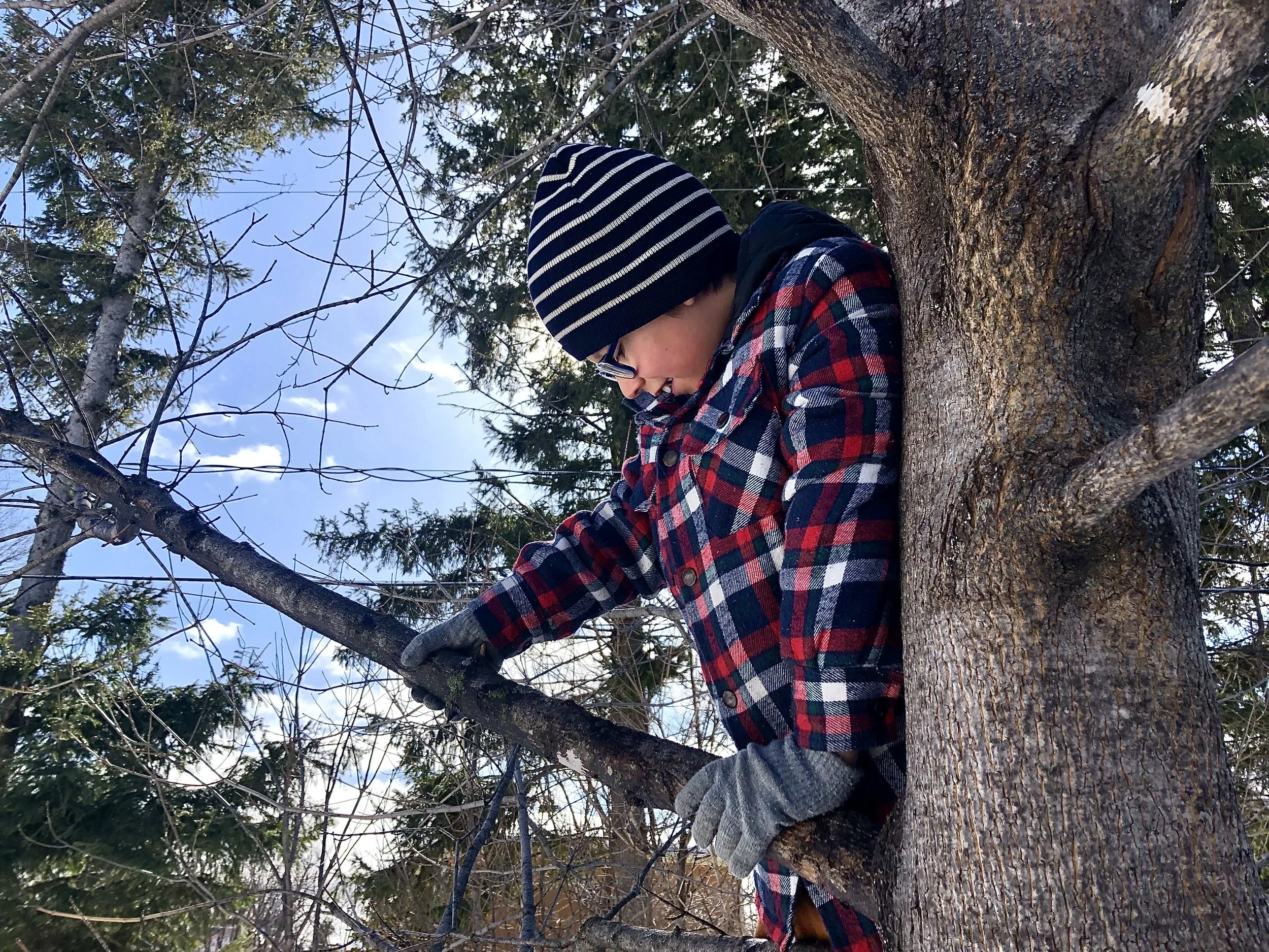 BANLIEUE ET AMOUR POUR LE VIVANT