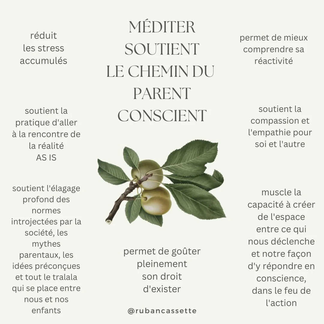 MÉDITATION ET PARENTALITÉ CONSCIENTE