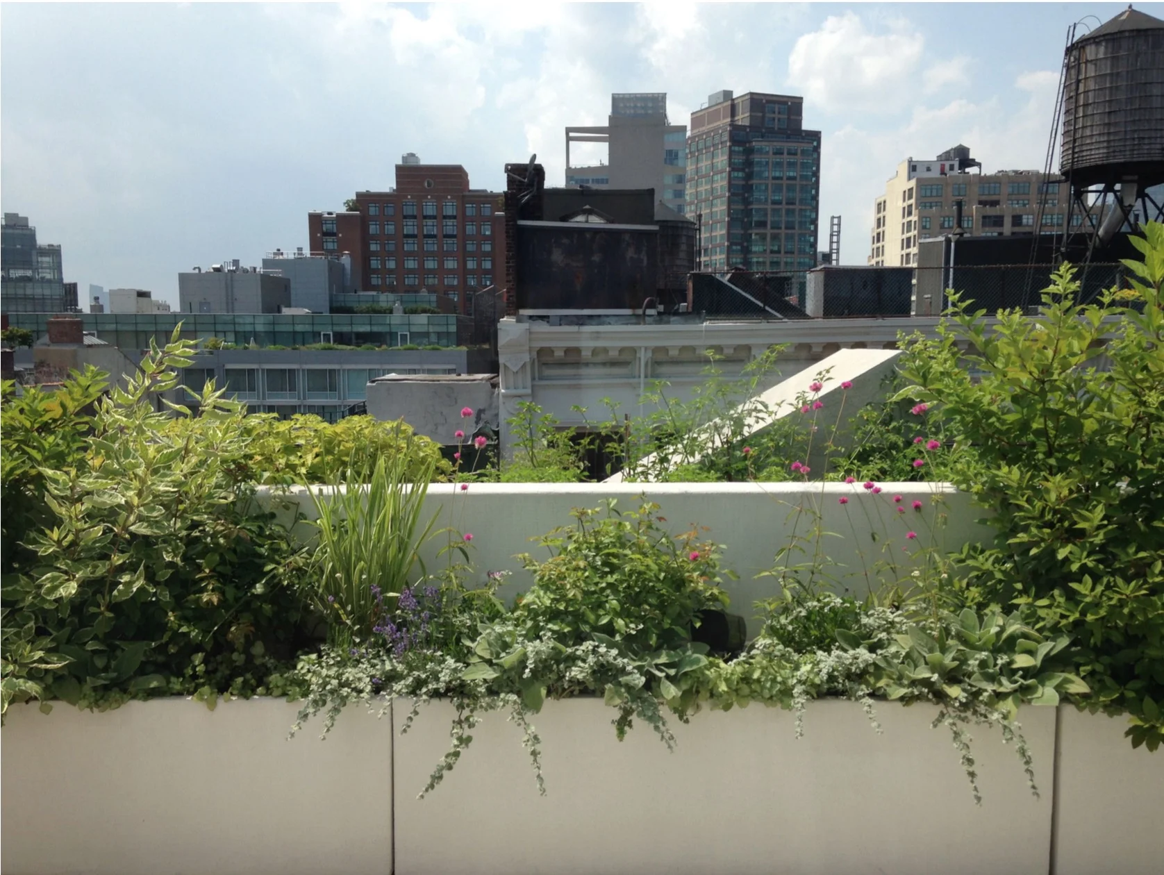 Screenshot 2016-05-26 16.50.29.JPG