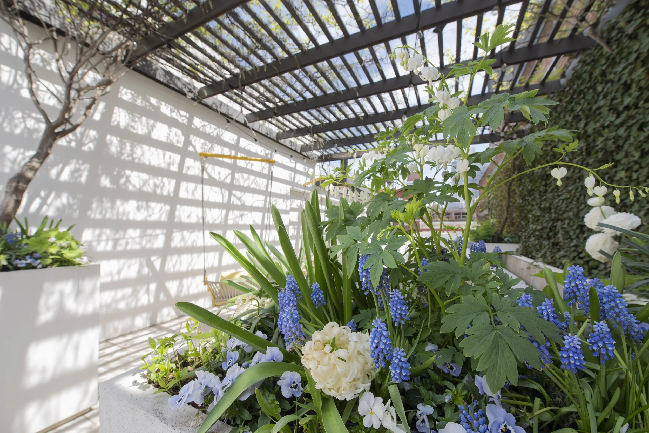 34Greene_Pergola_DSC_9556.jpg