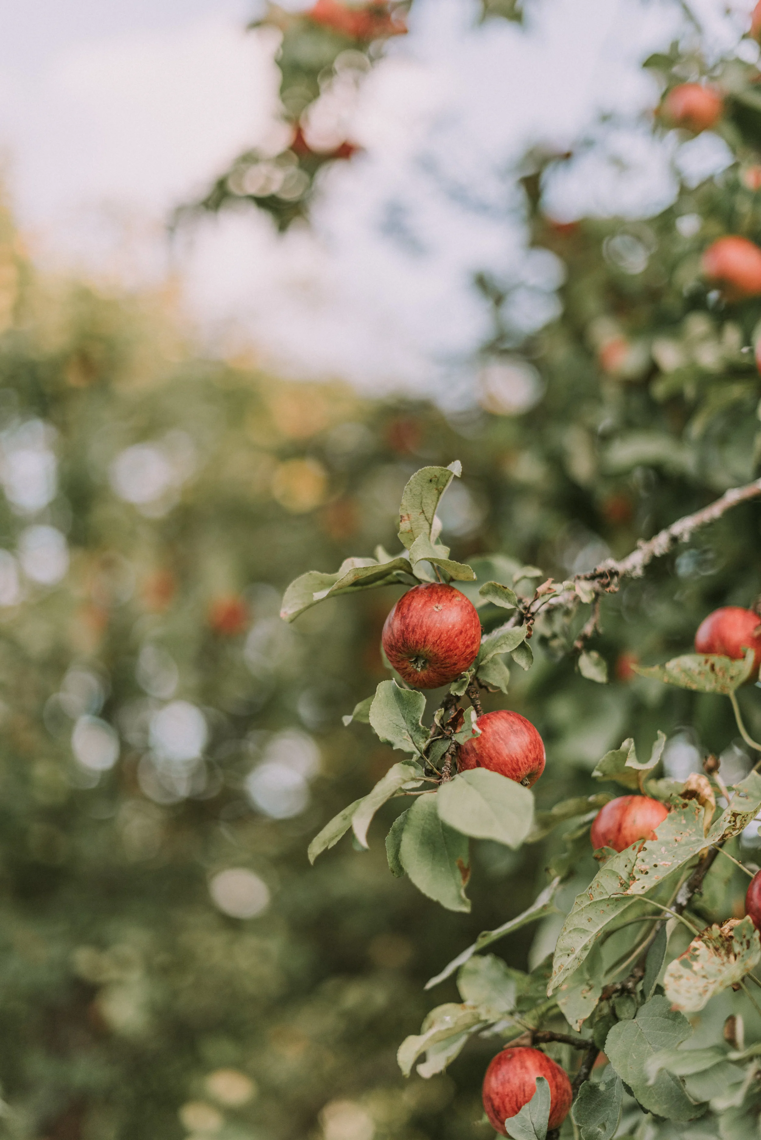 3 Myths About Maturity