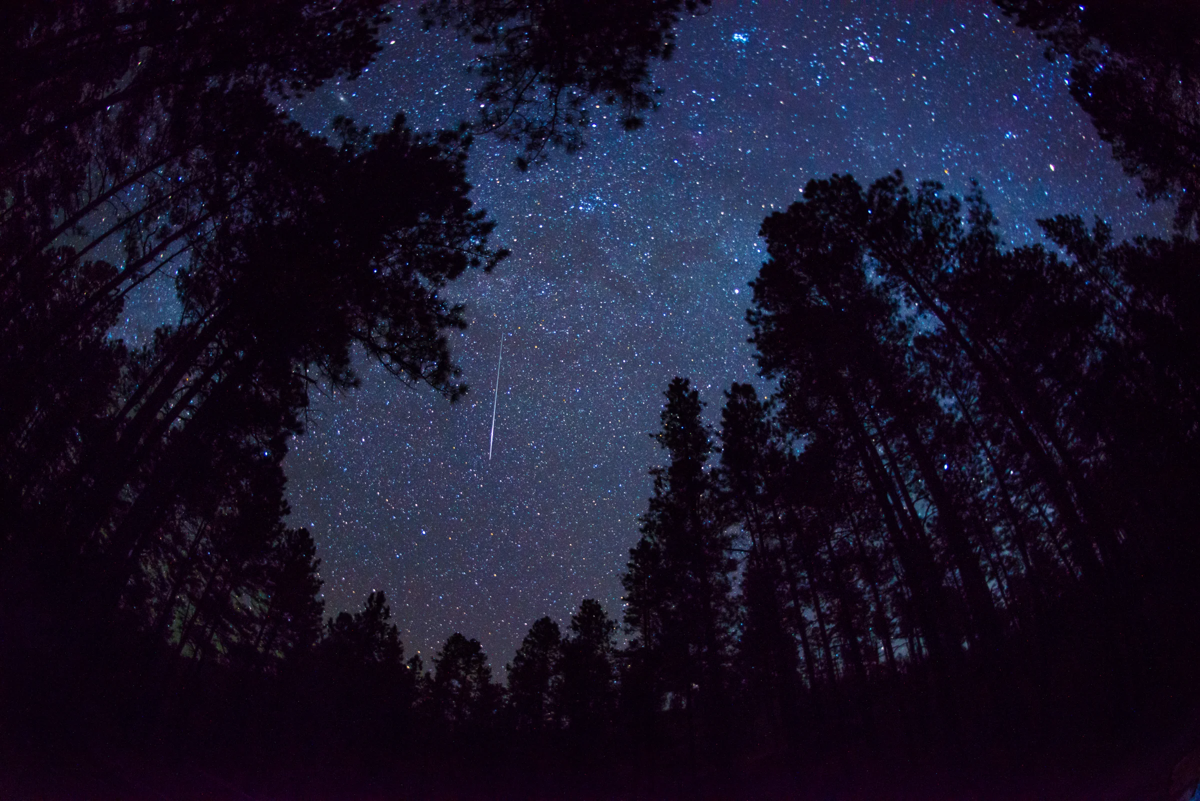 Counting Stars