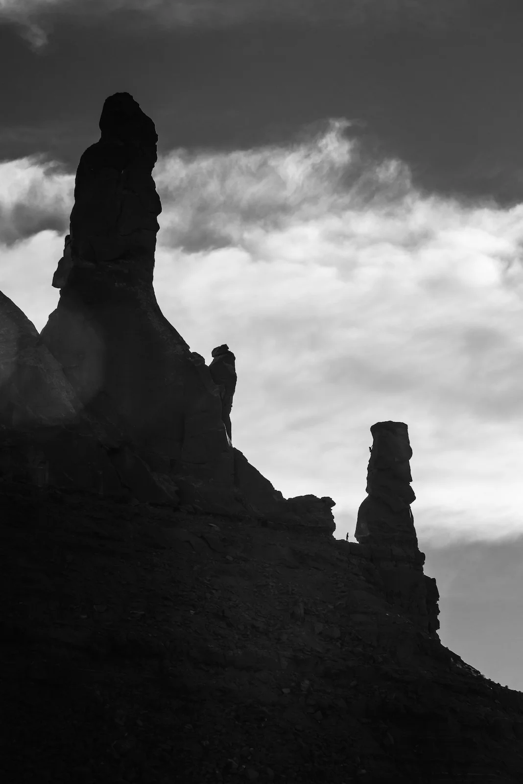 Profile of Towers