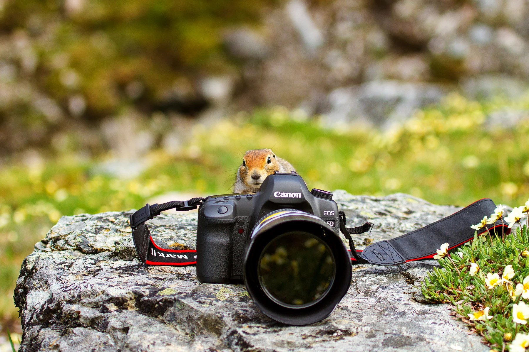 Photographing Me