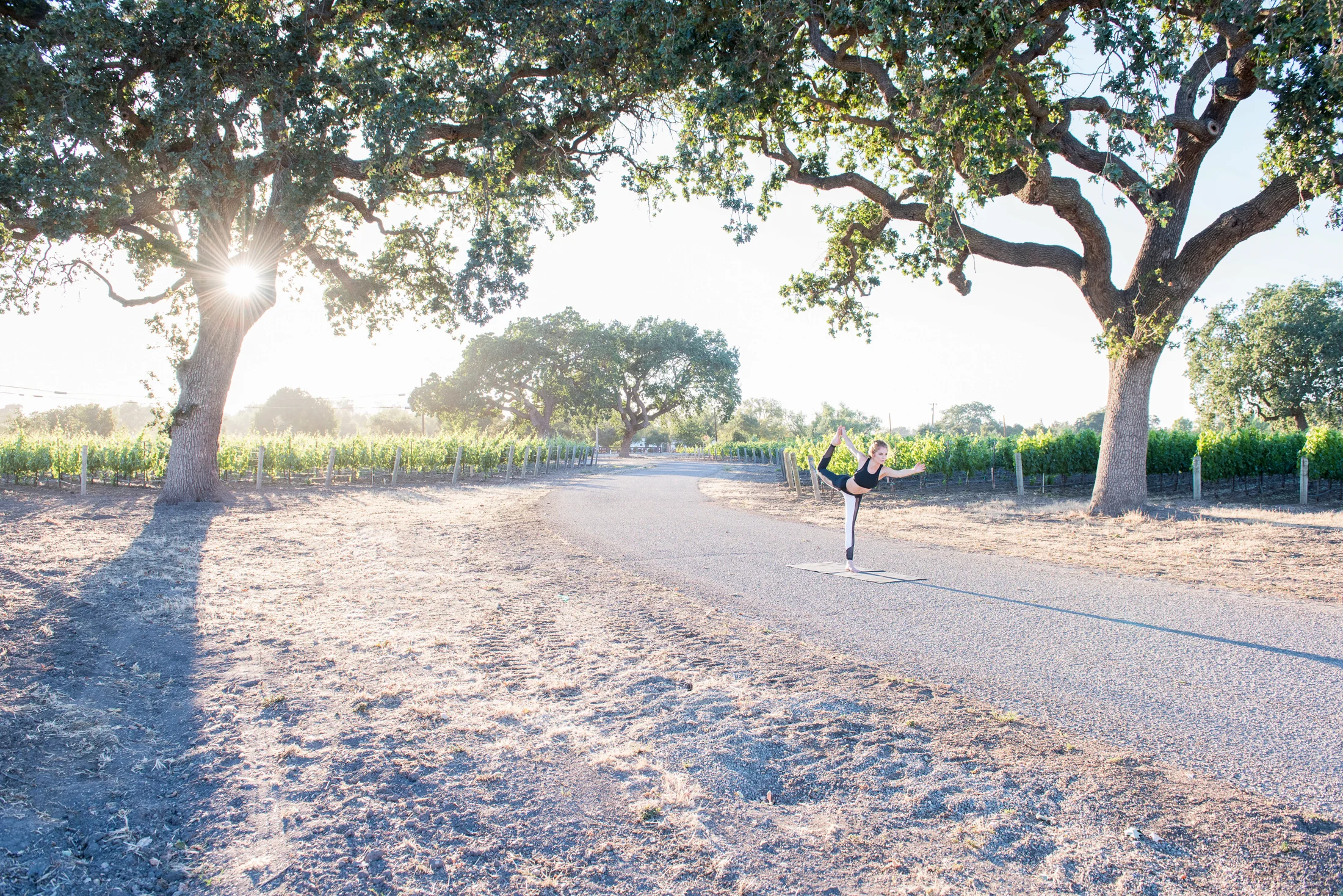 Roblar Winery