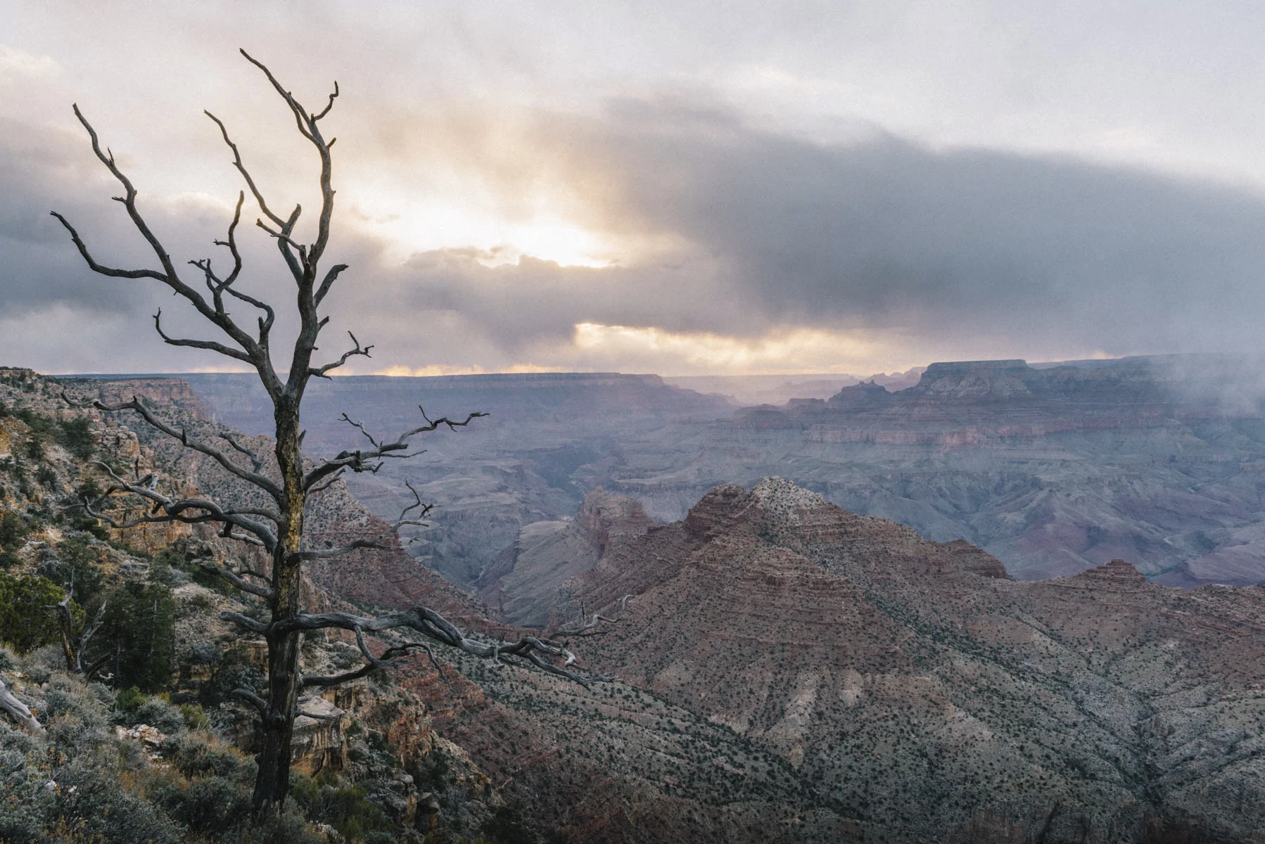 Grand Canyon, AZ