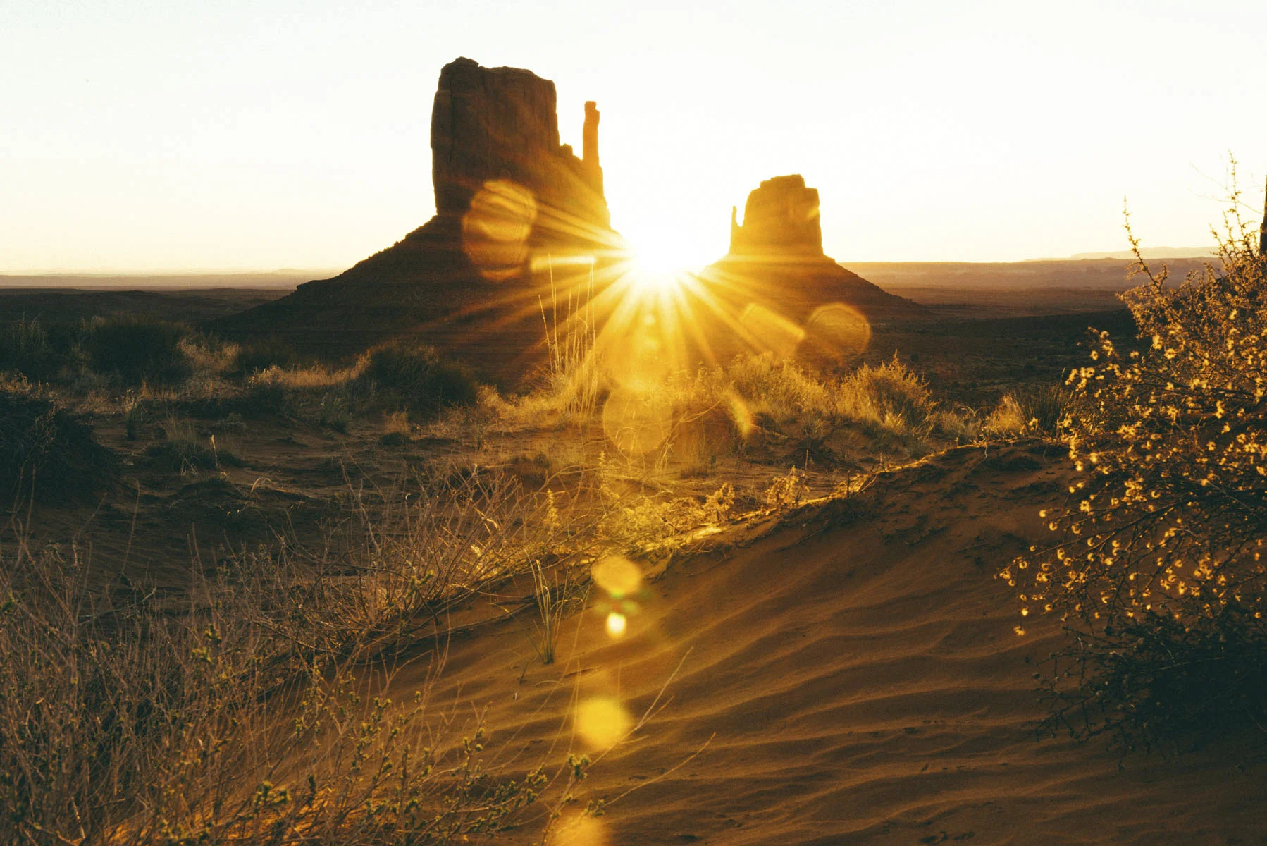 Chase Me Sun