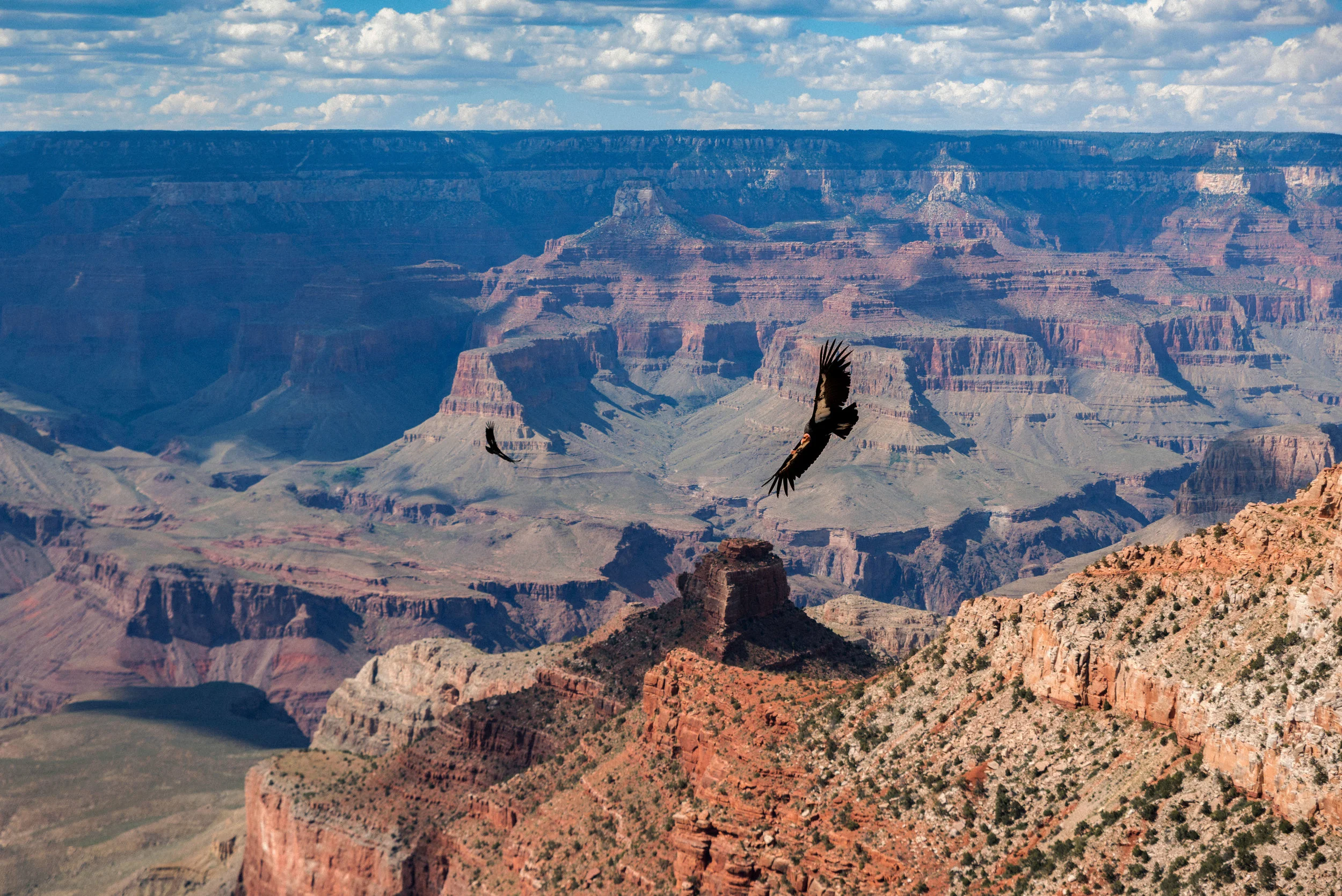 Grand Canyon