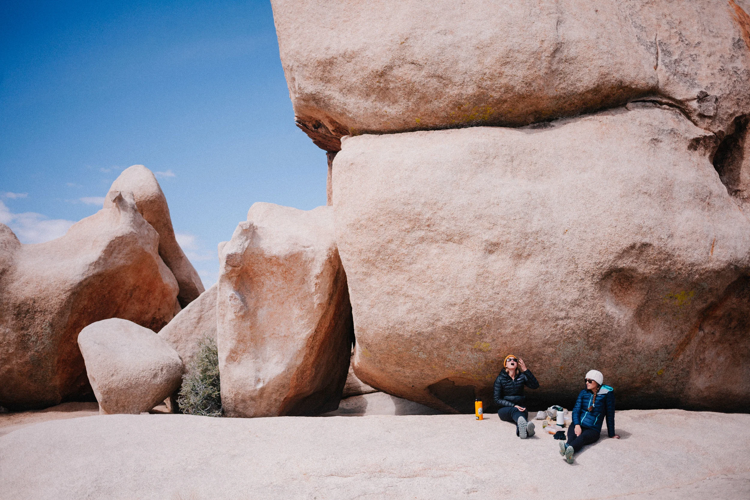 Joshua Tree