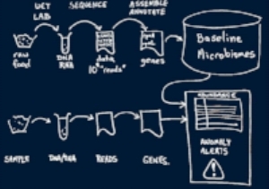 AnalyticsProcess.jpg