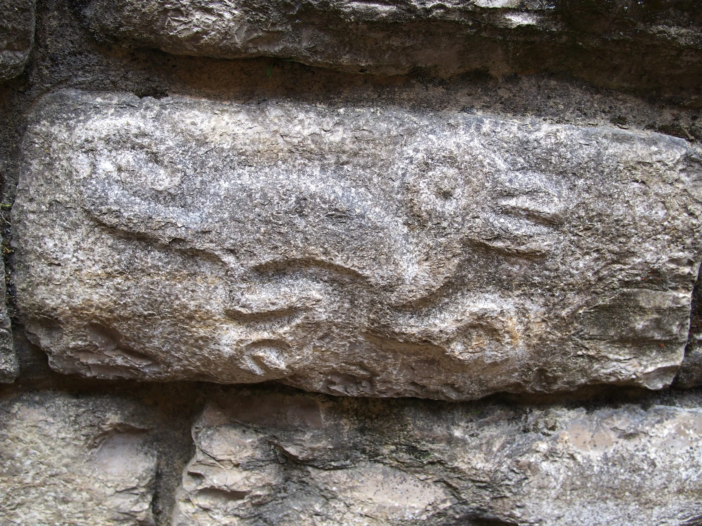 Head of a Condor (god of the sky), body of a Puma (god of the land), tail of a Snake (god of the underworld).