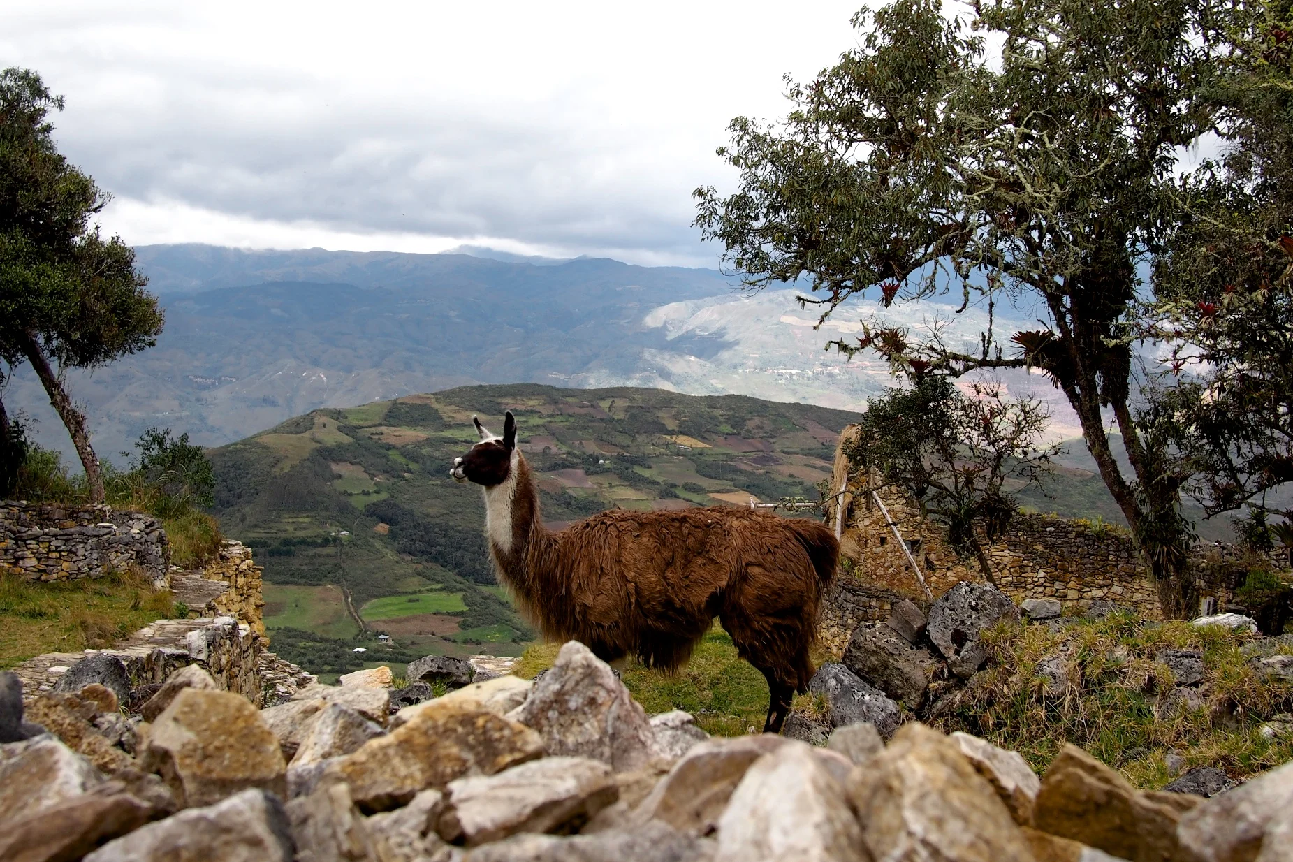 Every mountaintop fortress needs a good watchman.