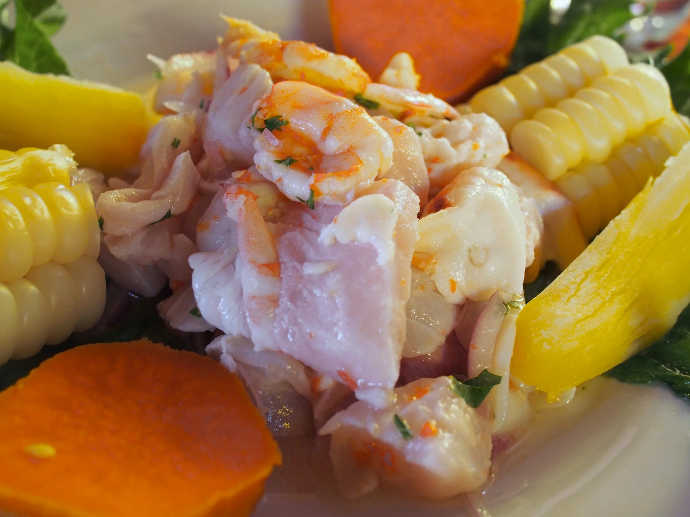 Trout ceviche with a medley of vegetables. Not pictured are the amazing plantain chips that come as an appetizer
