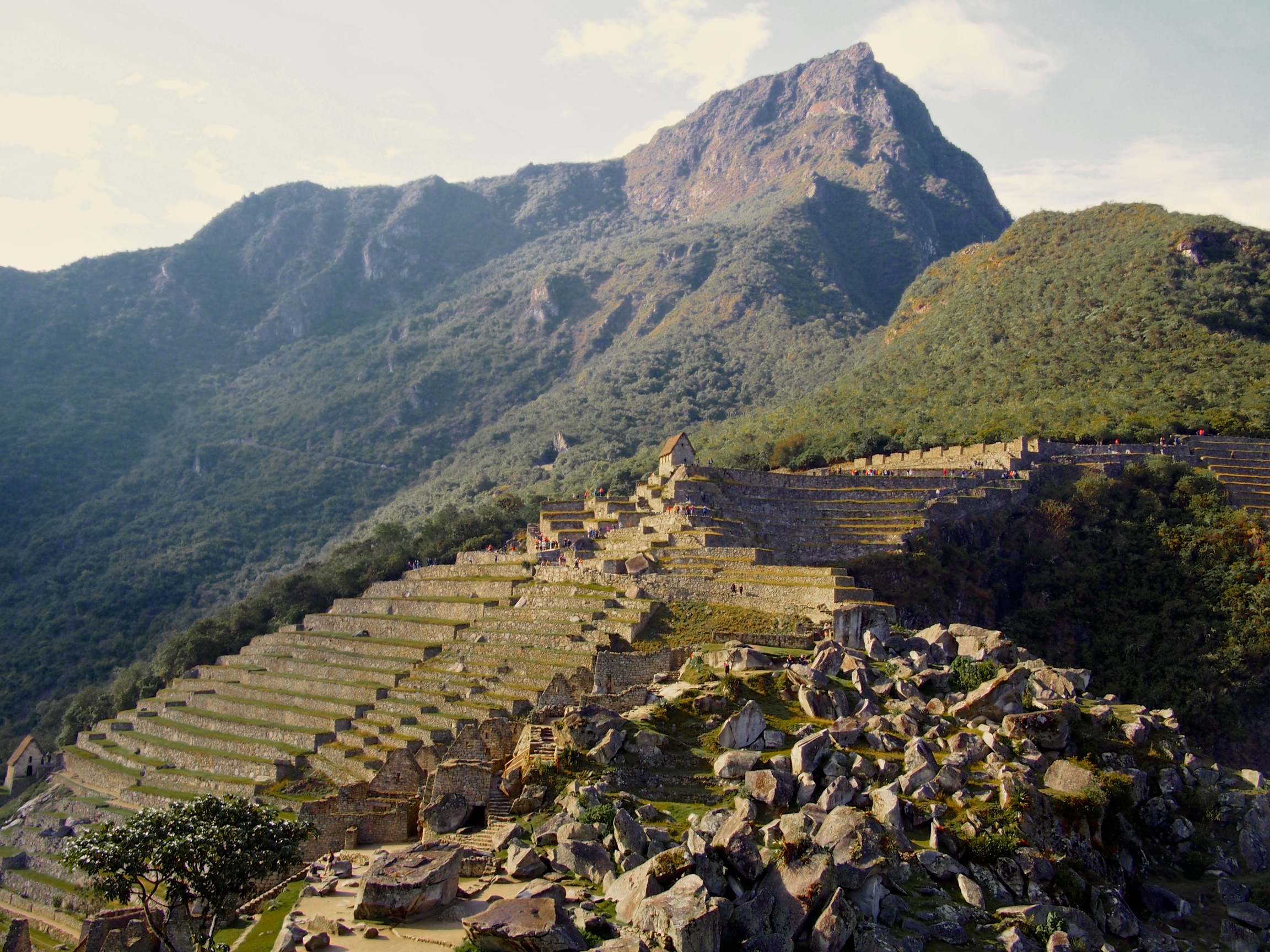 Agricultural Terraces