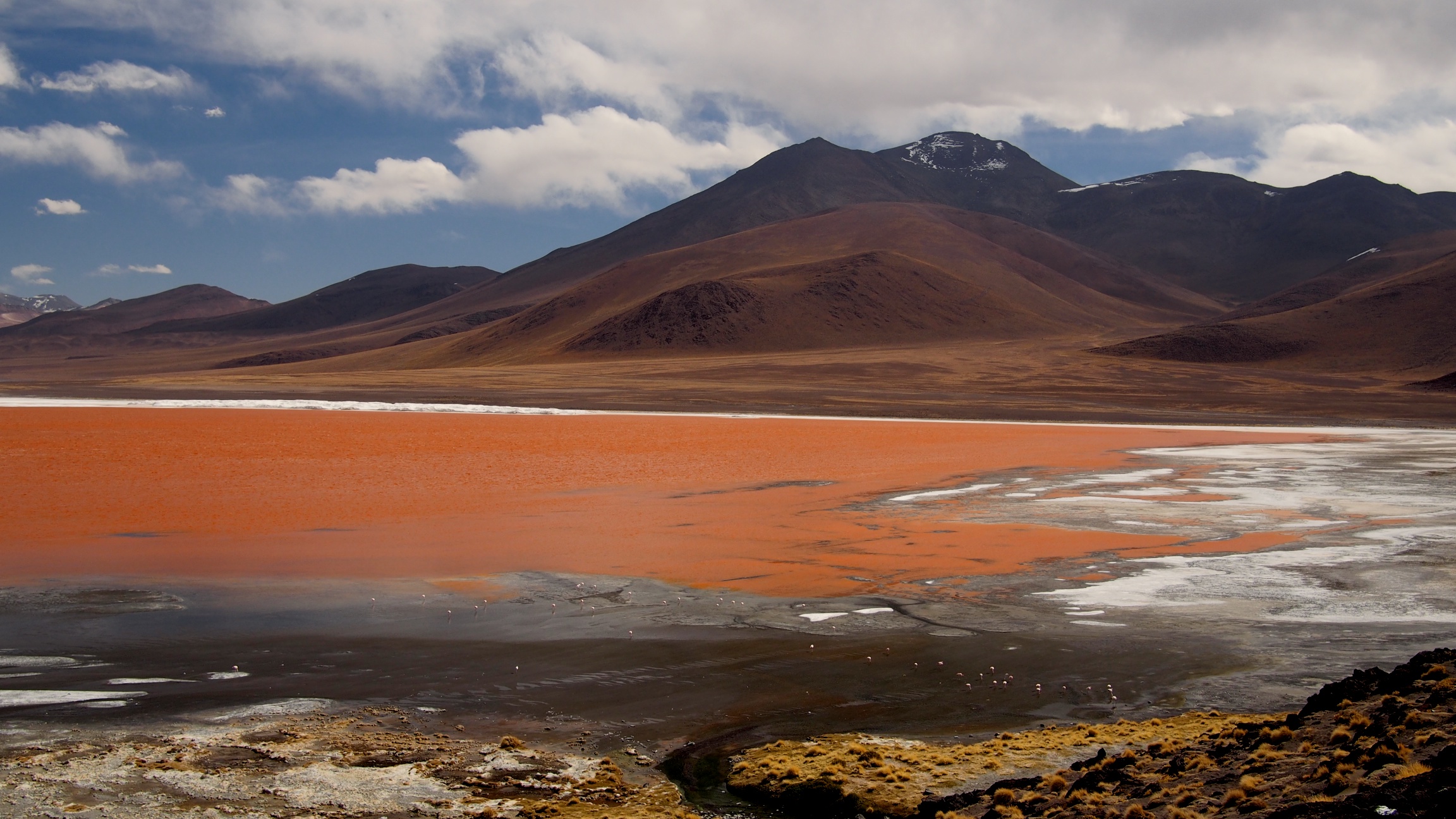Laguna Colorada, a shallow lagoon with an average depth of 45 cm. The bright red color changes throughout the day due to the pigments of a microscopic algae species