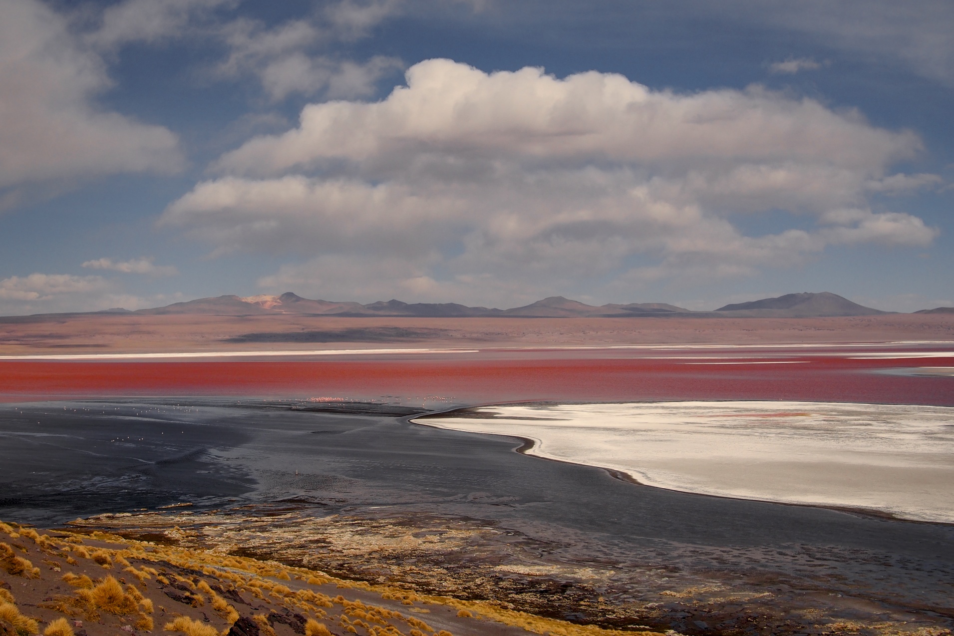 Laguna Colorada