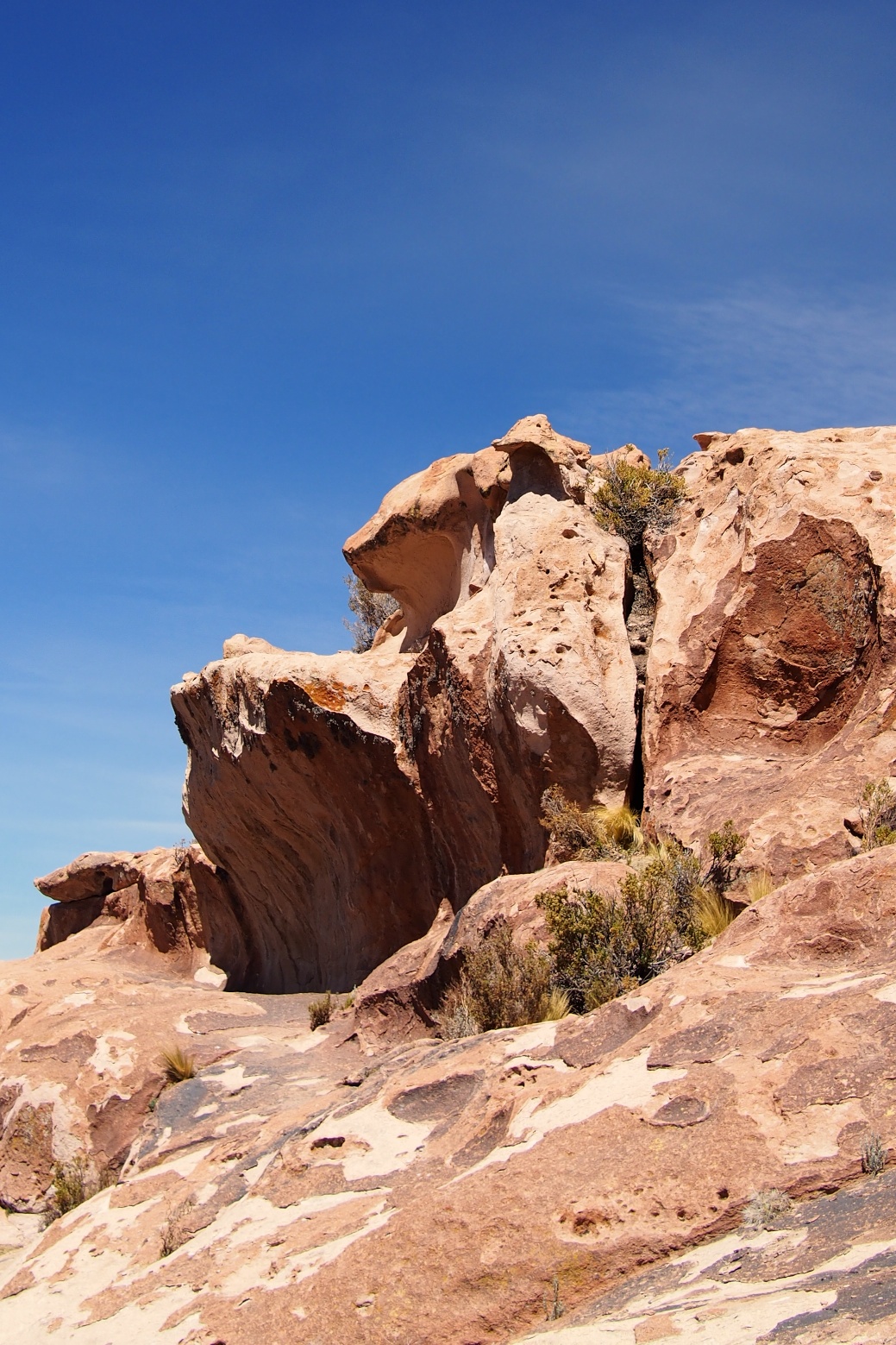 The rocks all around have fantastic shapes such as this one. Doesn't it look like a giant, cuddly bear?