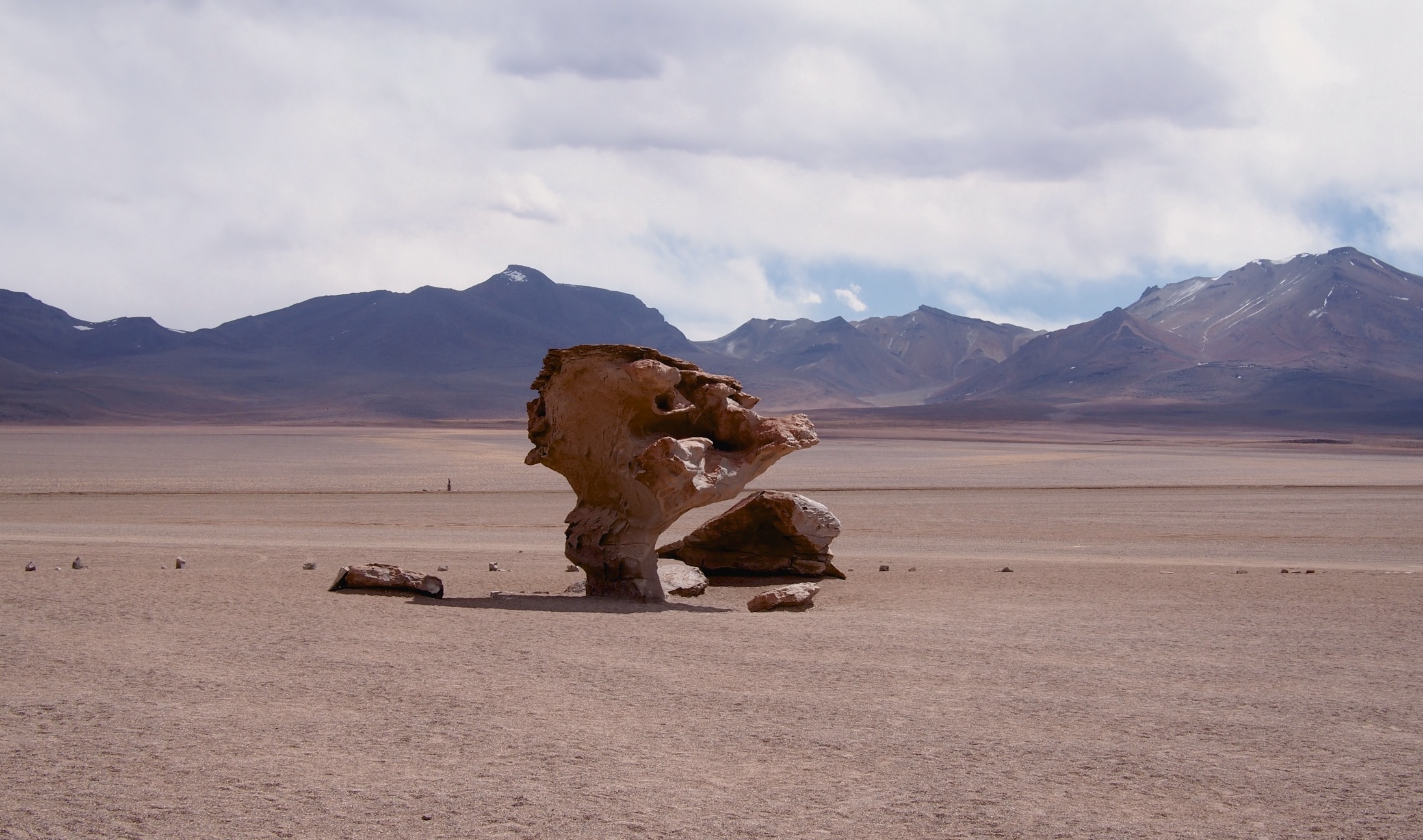 Arbol de Piedra, a rock formation shaped like a giant tree by erosion in the middle of the Siloli desert