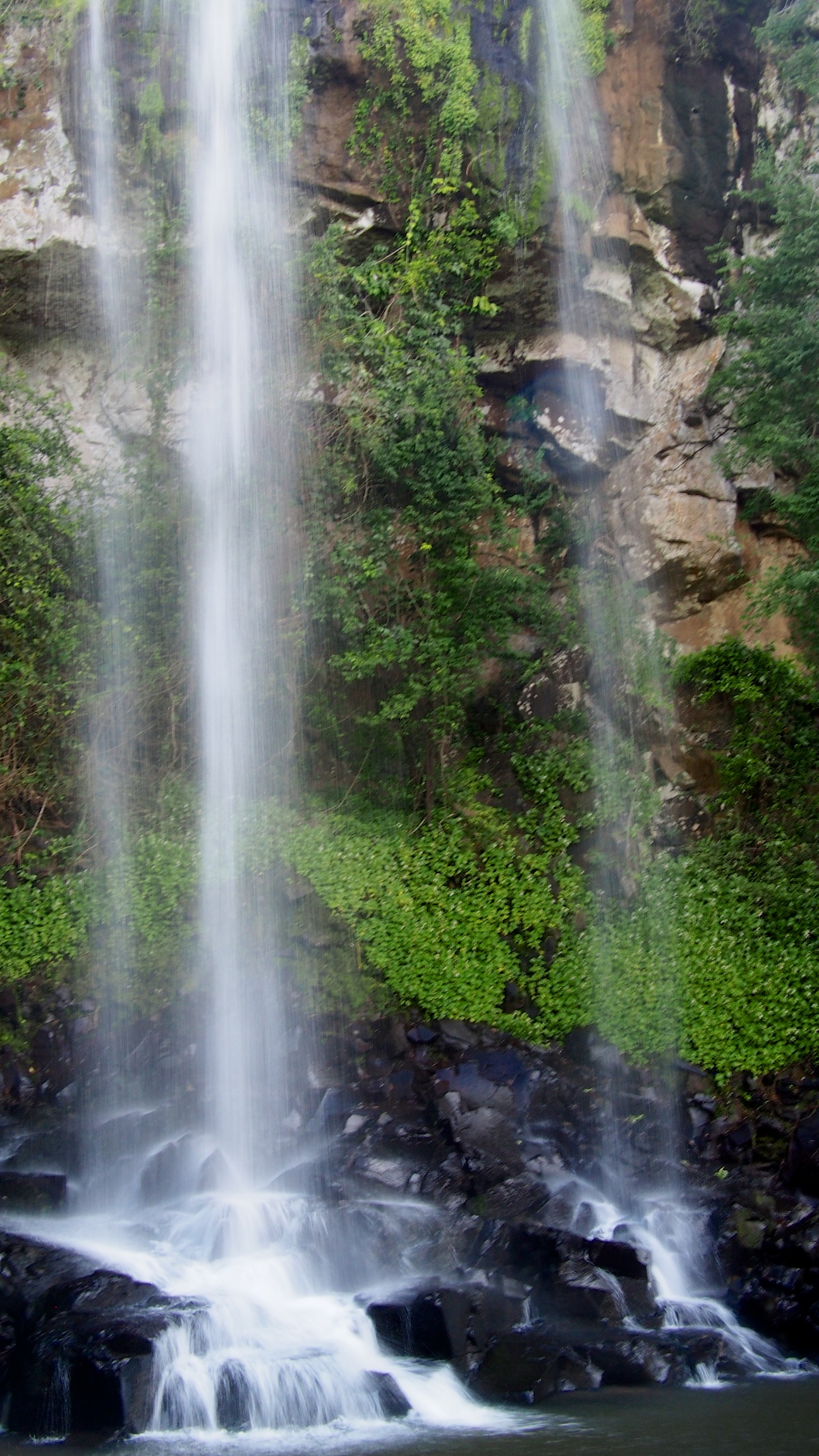 Sendero Macuco leads you through the rainforest to this waterfall, under which you can swim. The water is cold but getting to experience one of these falls pounding on your back is worth it!
